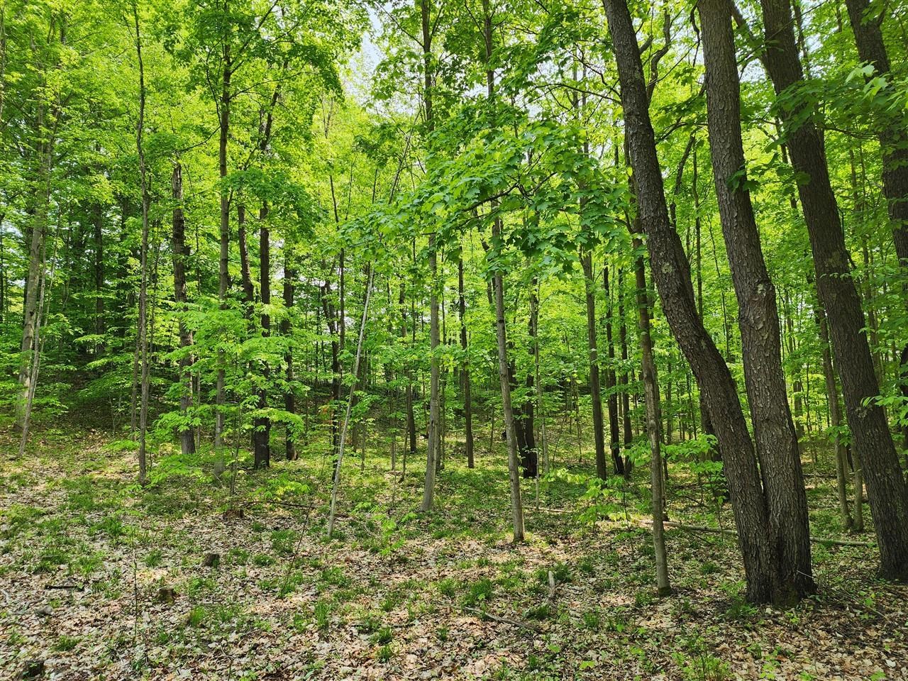 V/l Ravens Roost Property Photo 17