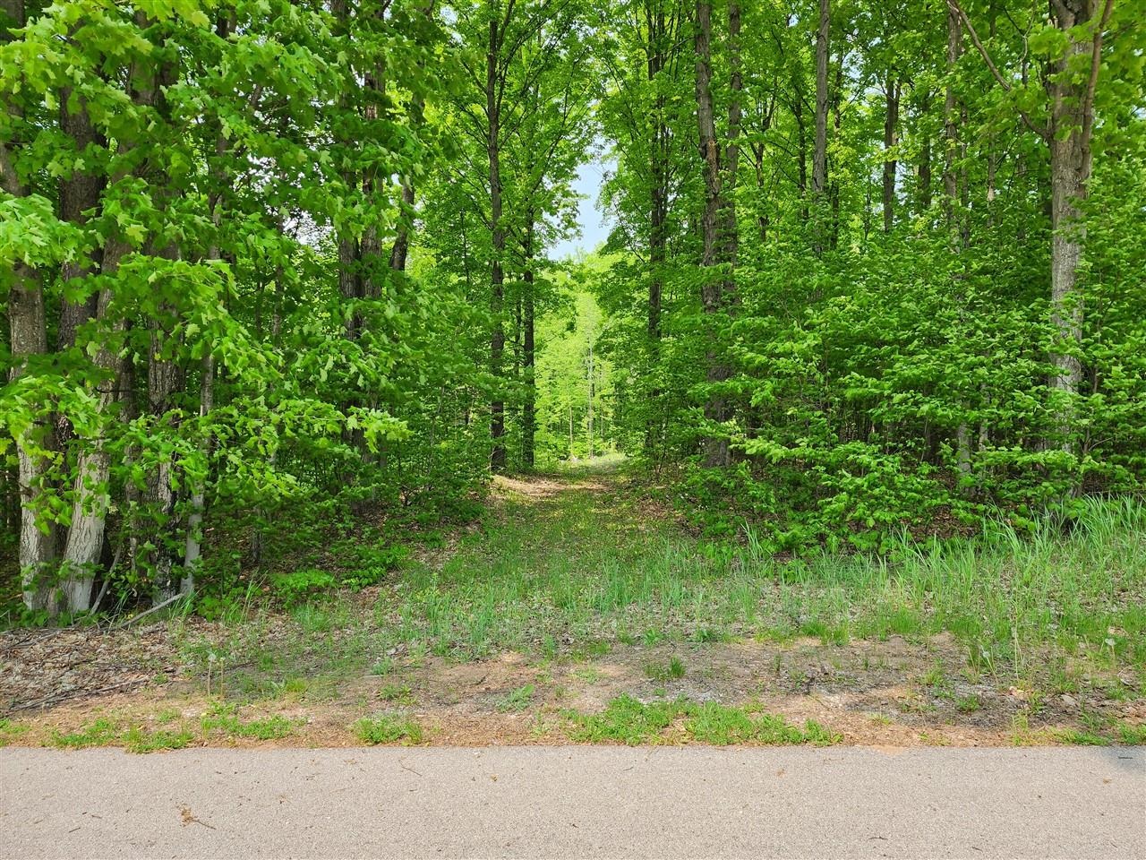 V/l Ravens Roost Property Photo 19