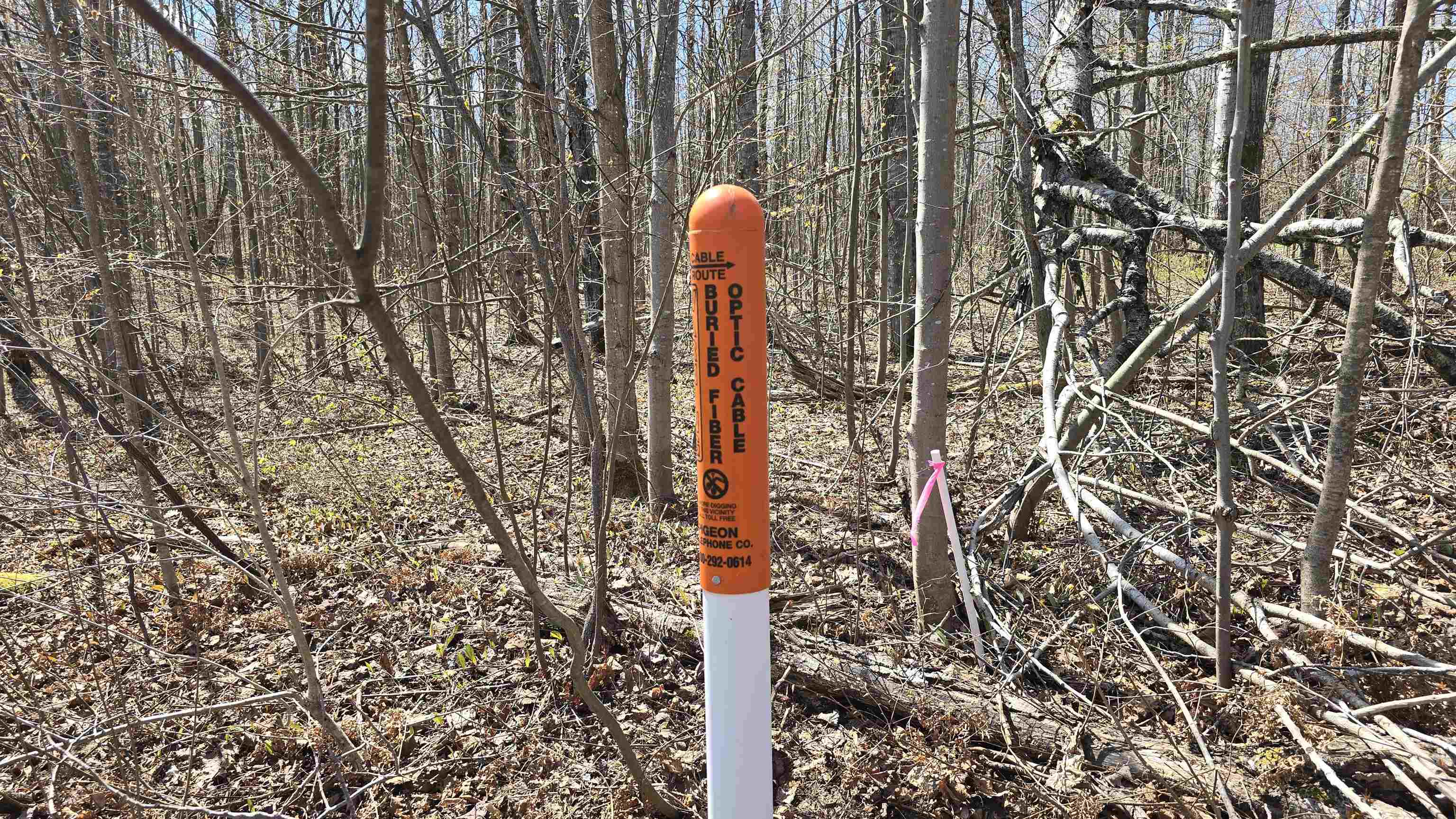 Vl Lot 455 Pineview Drive Property Photo 1