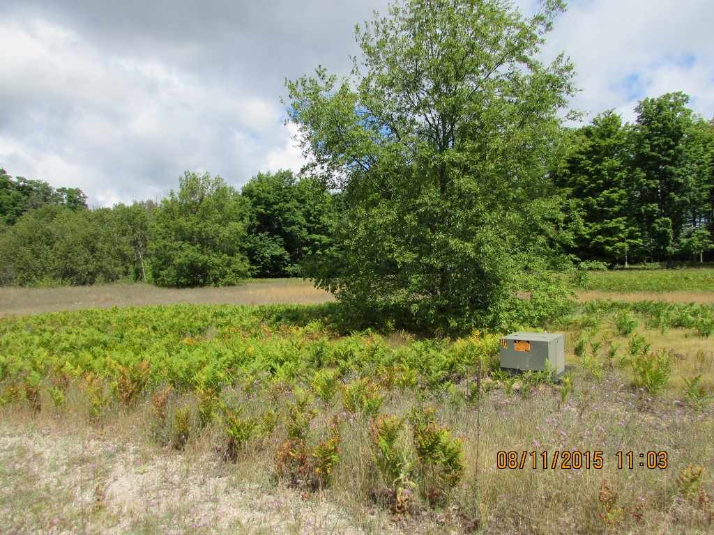 515 Grouse Drive Property Photo 3