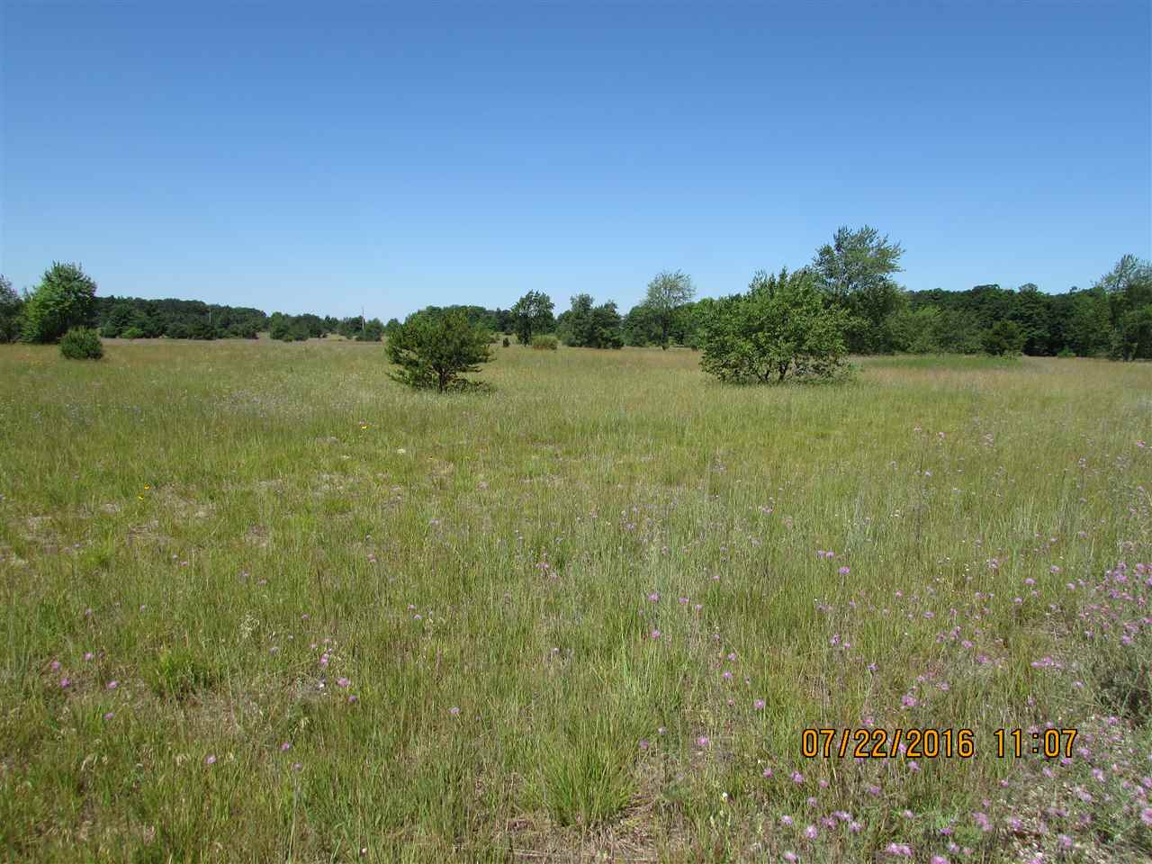 515 Grouse Drive Property Photo 8