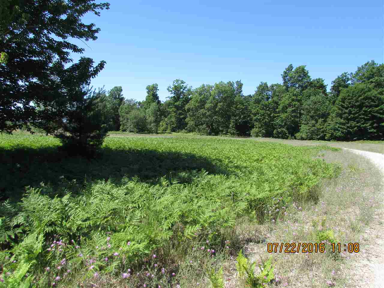 515 Grouse Drive Property Photo 9