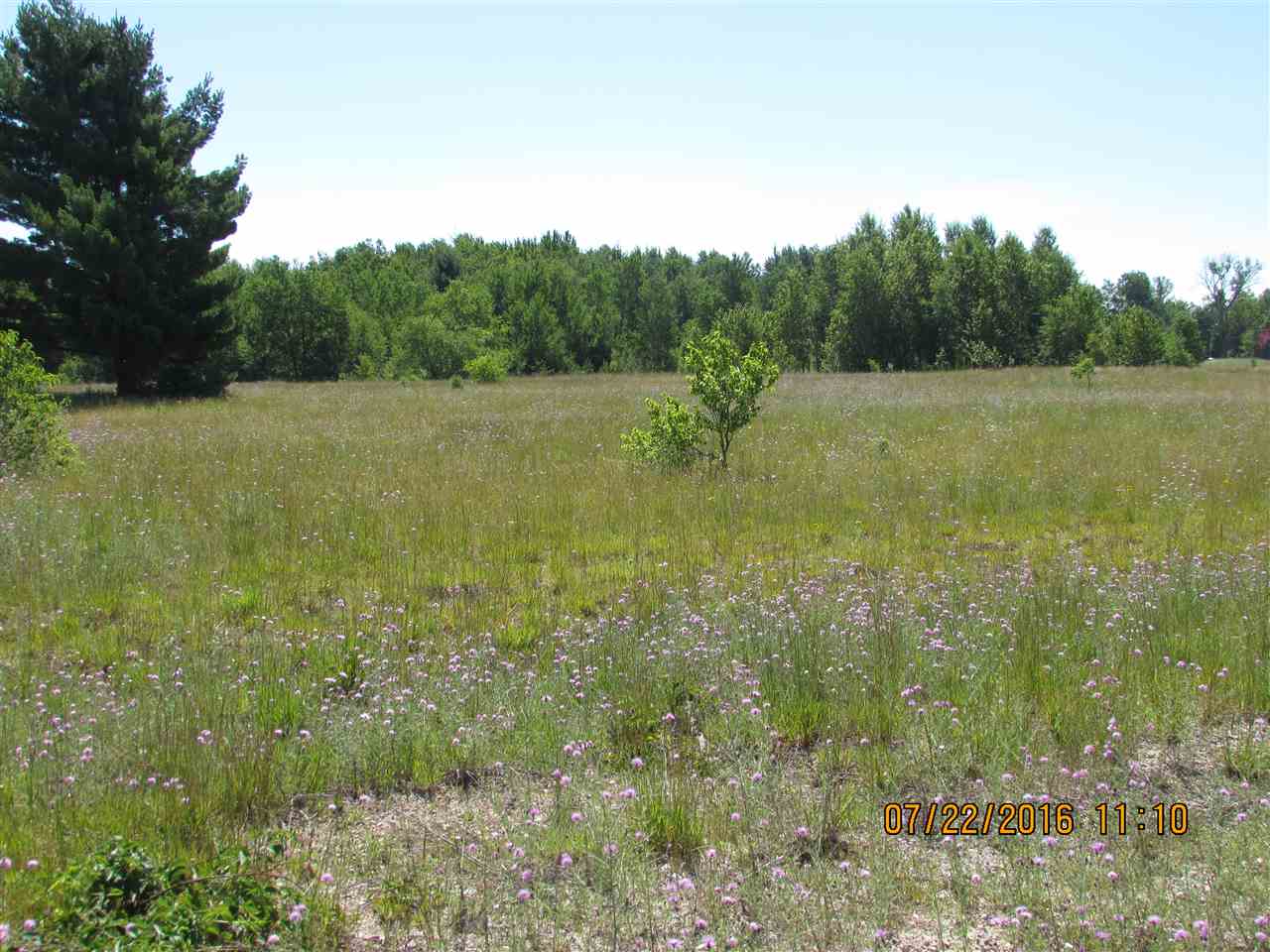515 Grouse Drive Property Photo 11