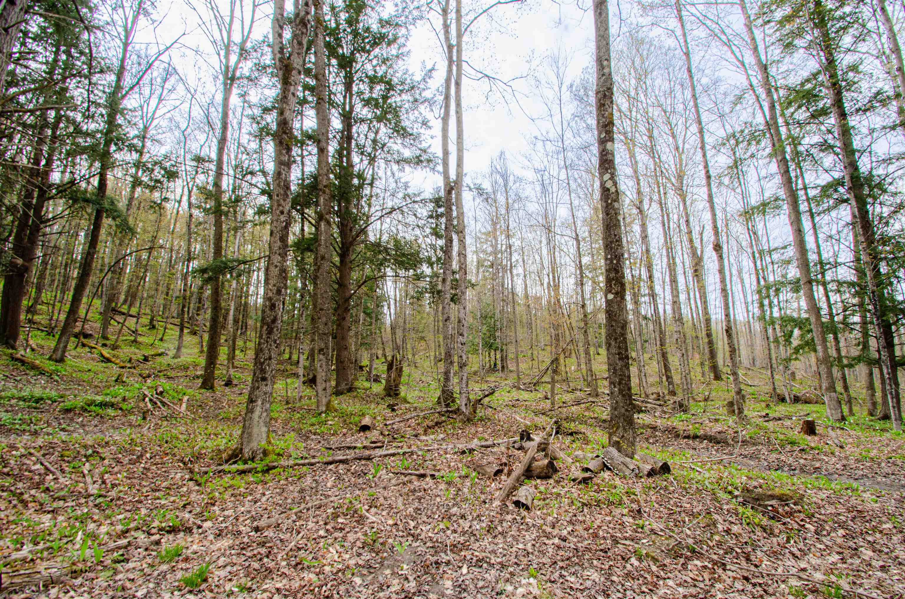 4839 Bunker Hill Road Property Photo 29