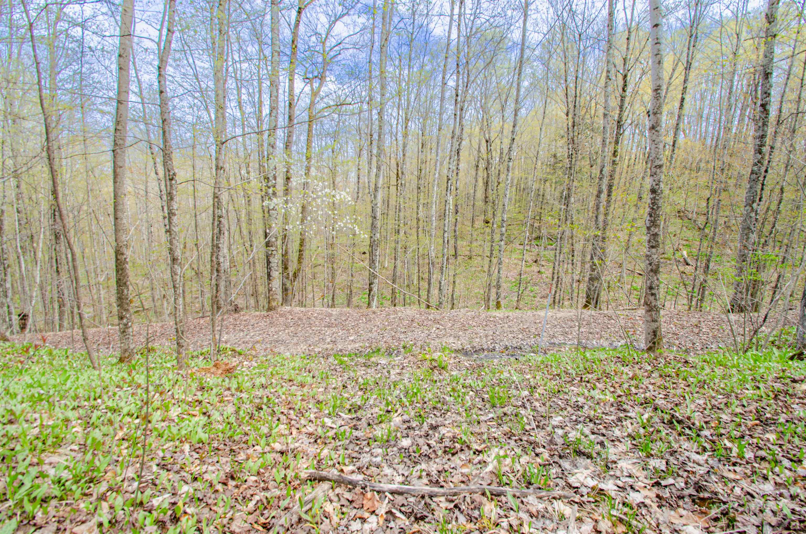4839 Bunker Hill Road Property Photo 35