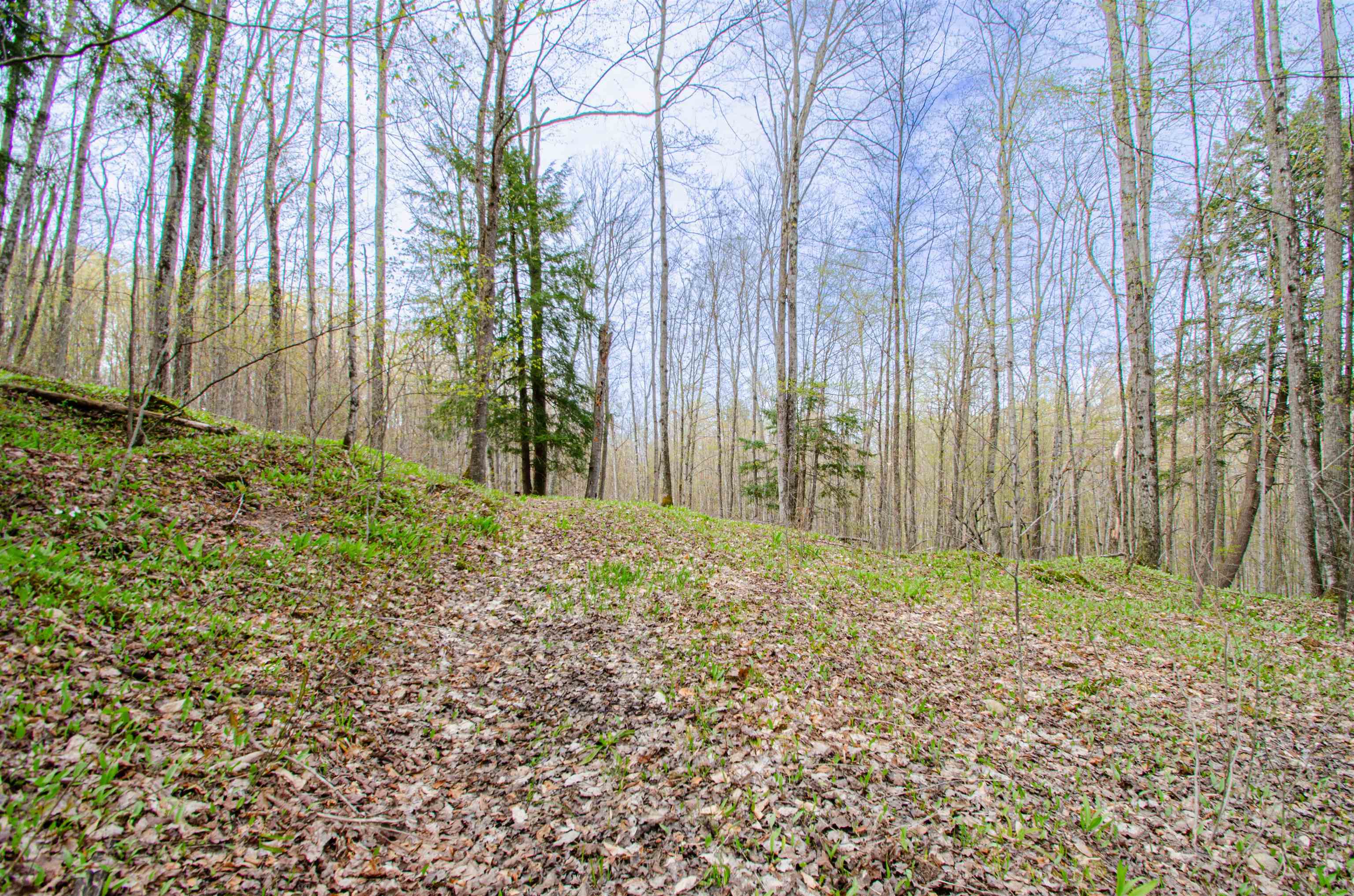 4839 Bunker Hill Road Property Photo 36