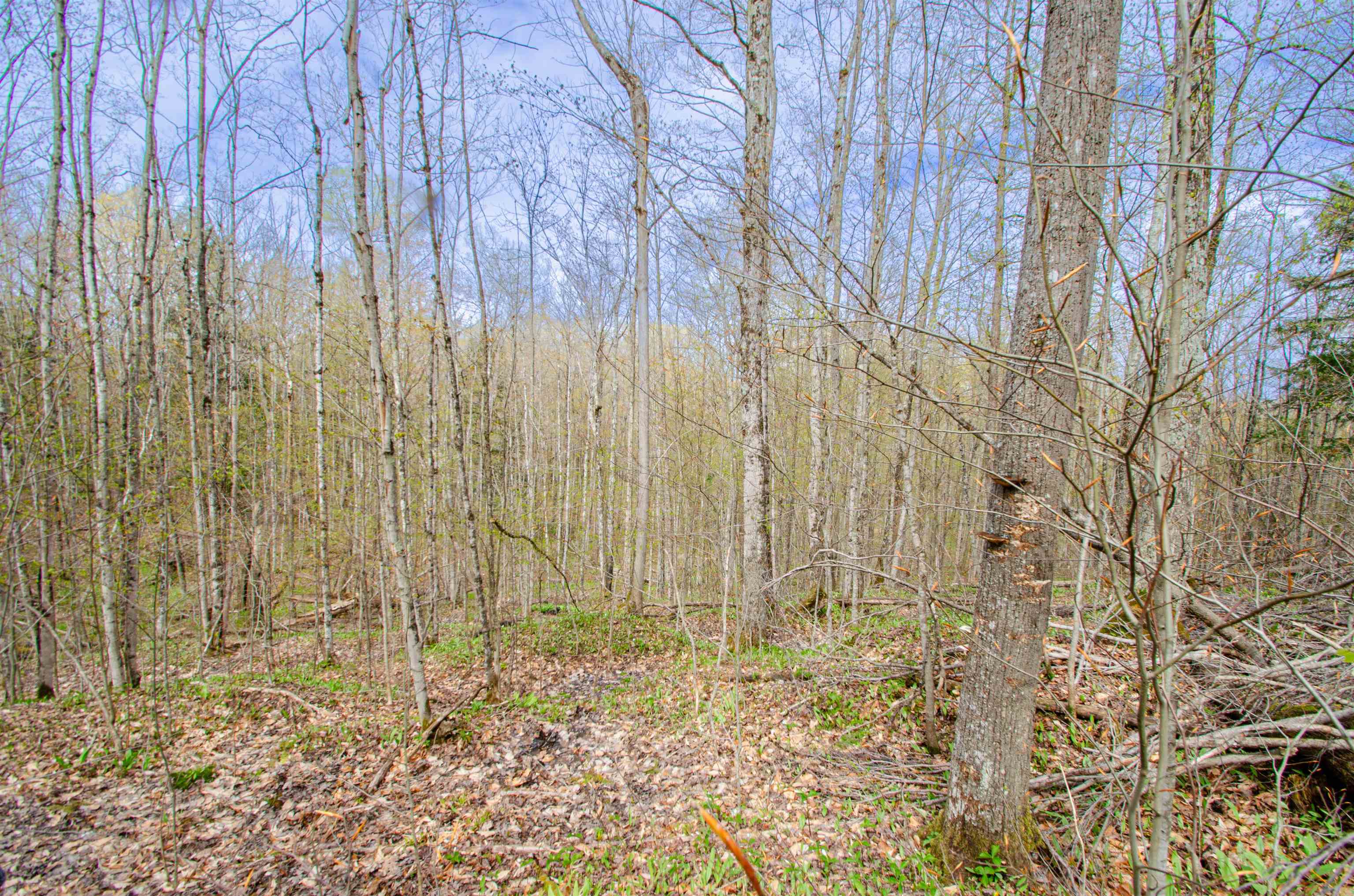 4839 Bunker Hill Road Property Photo 37