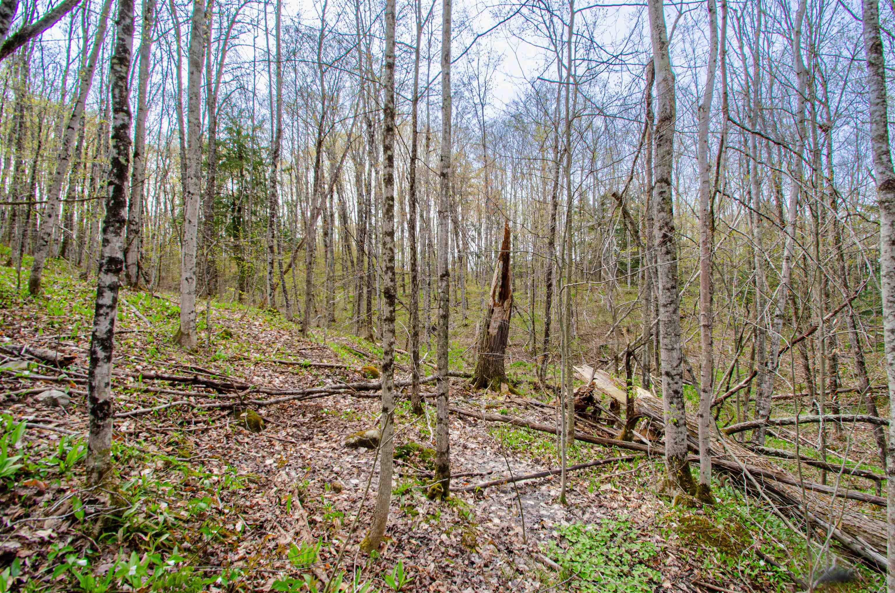 4839 Bunker Hill Road Property Photo 39