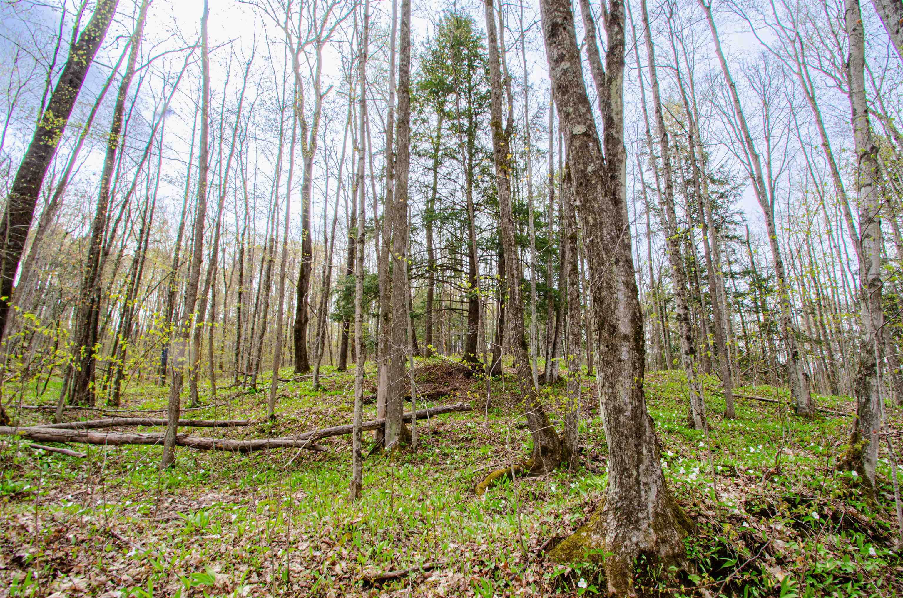 4839 Bunker Hill Road Property Photo 40