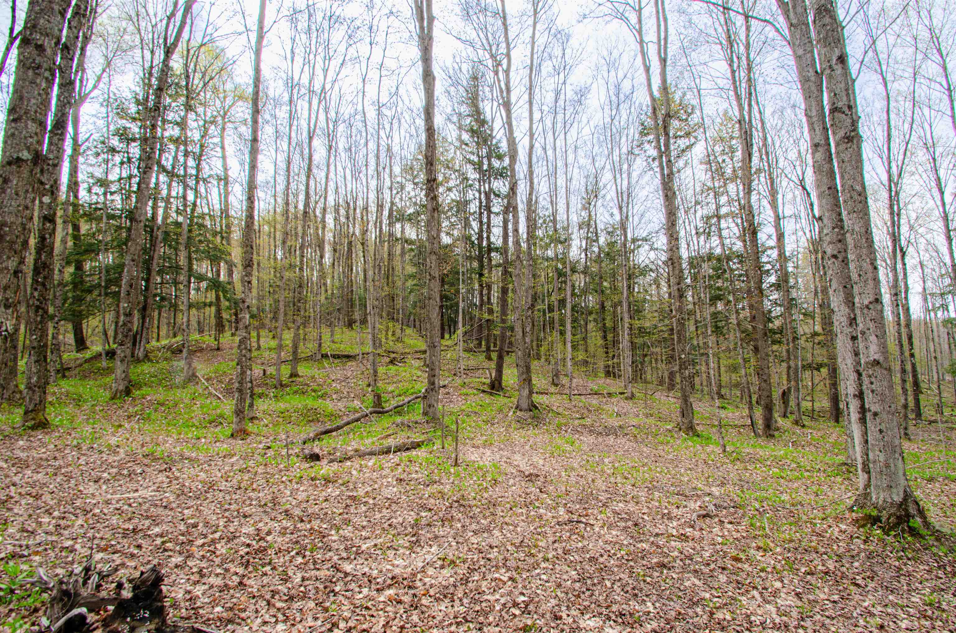4839 Bunker Hill Road Property Photo 41