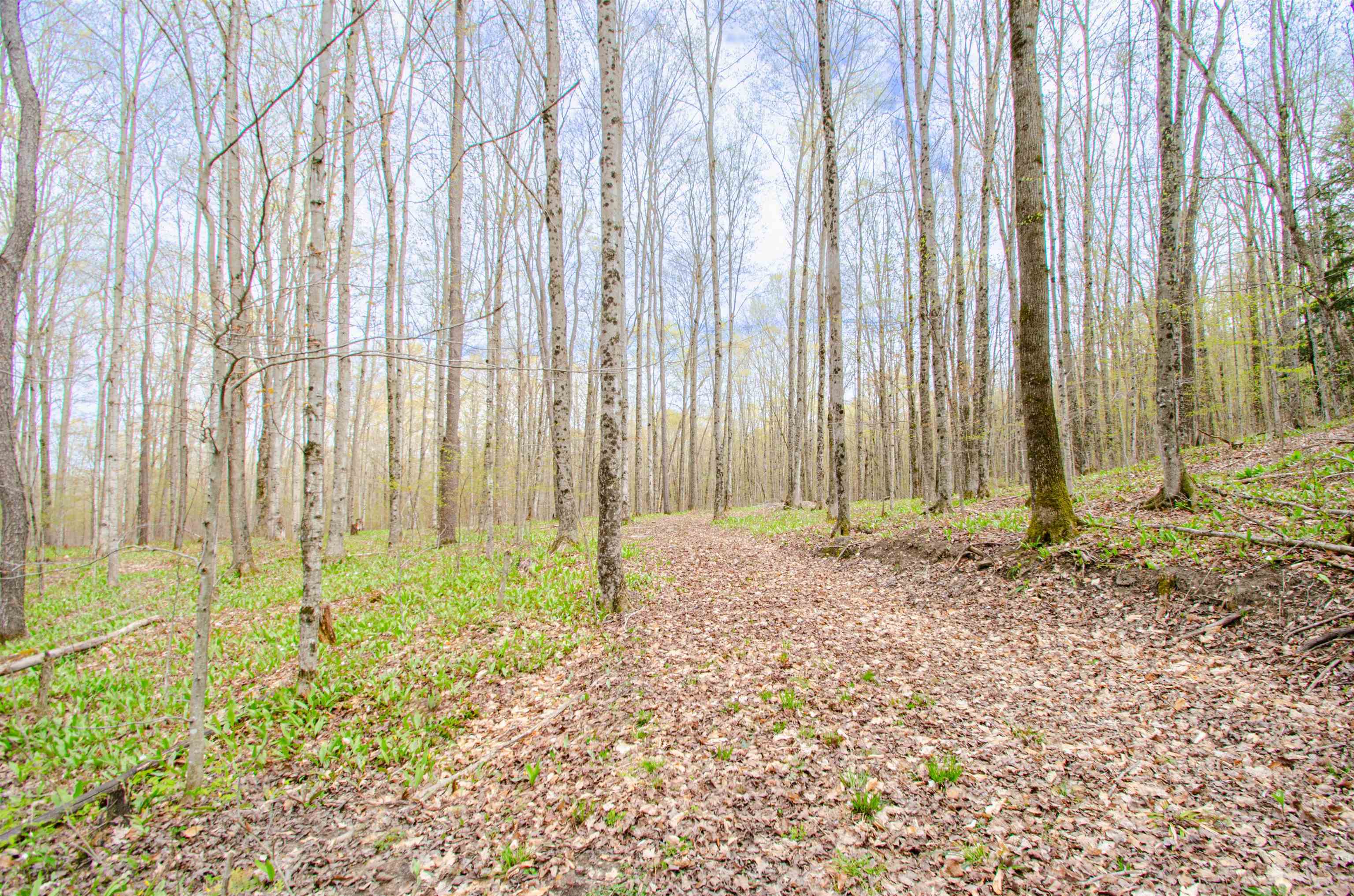 4839 Bunker Hill Road Property Photo 42