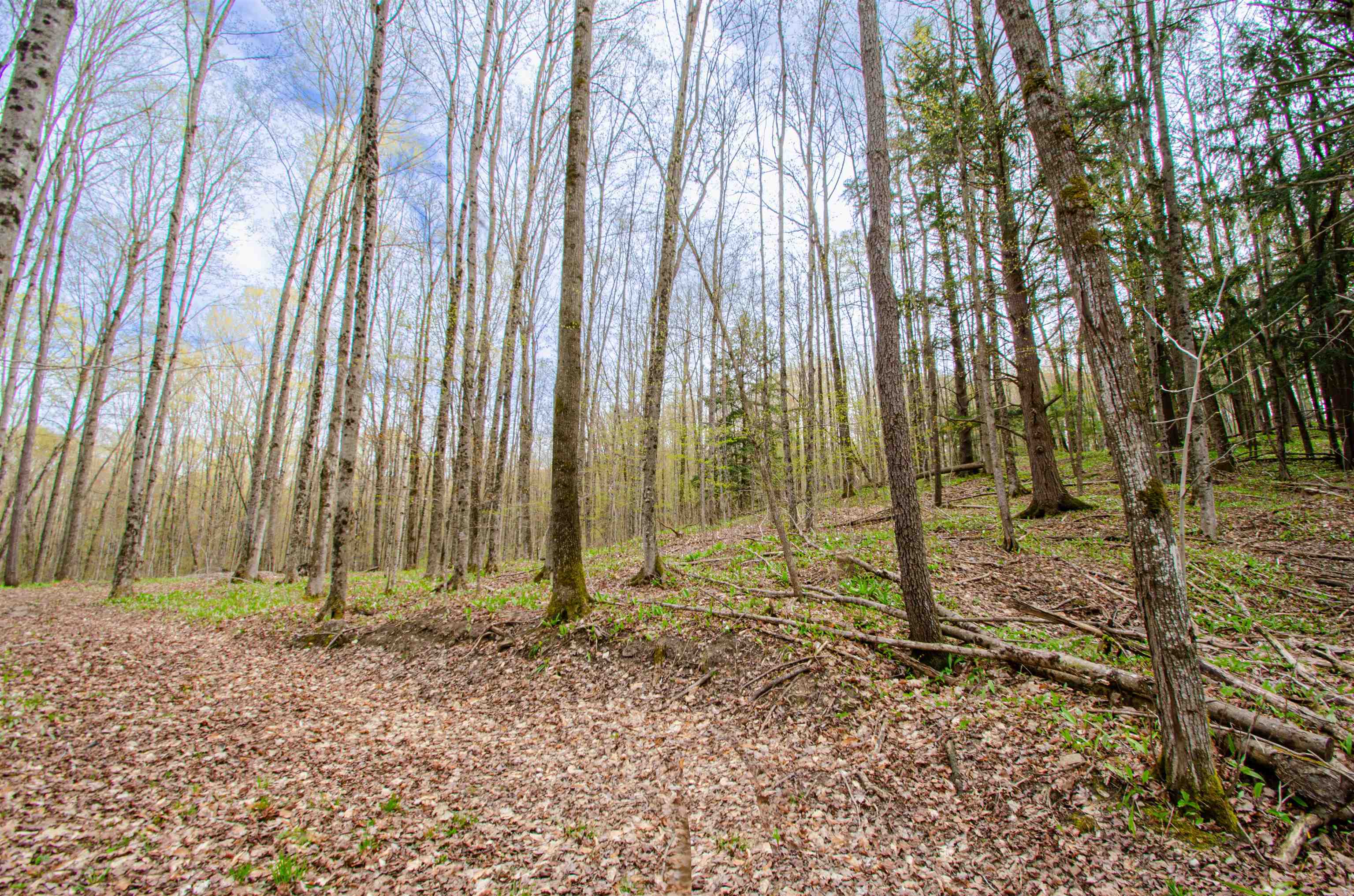 4839 Bunker Hill Road Property Photo 43