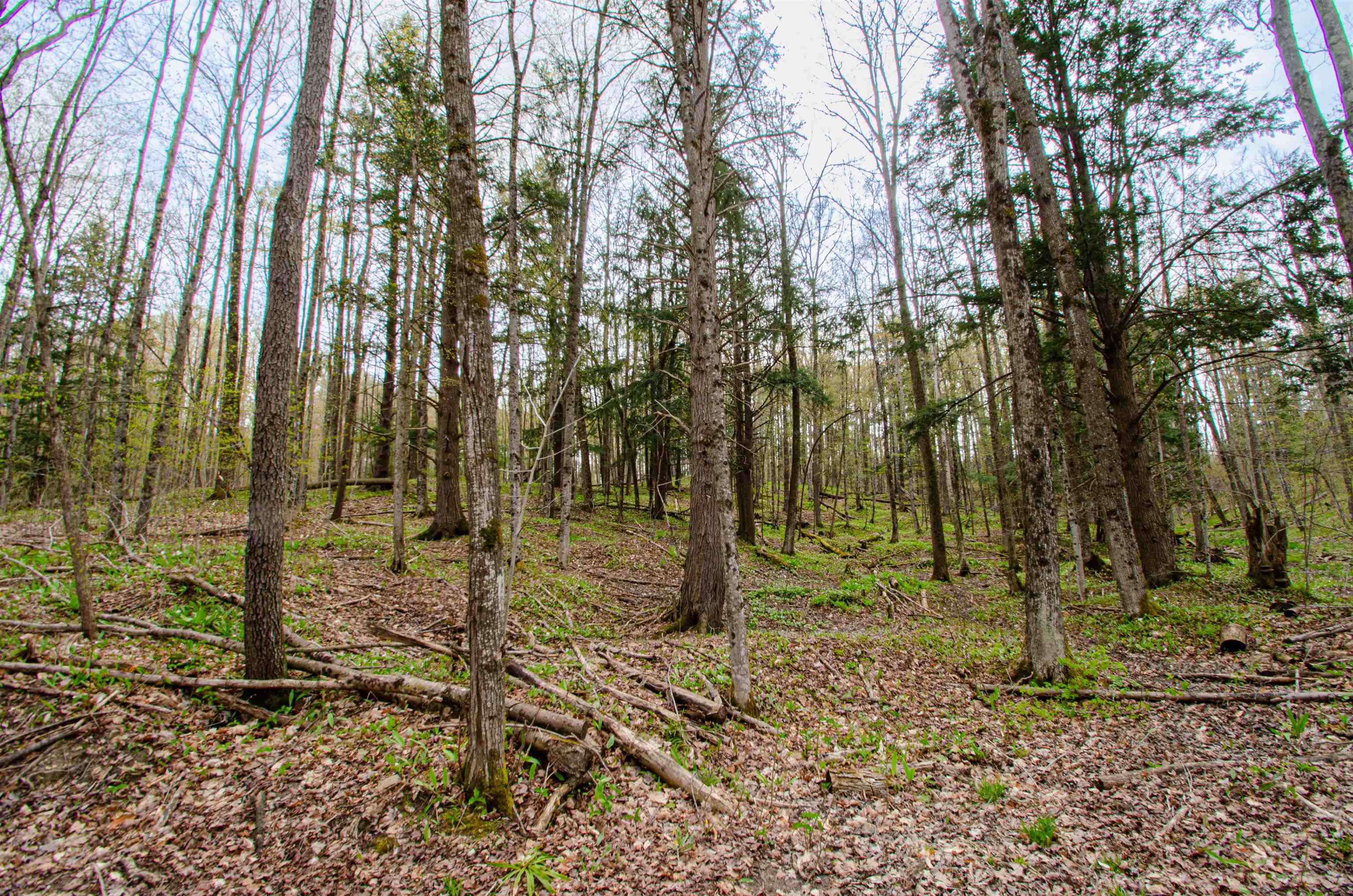4839 Bunker Hill Road Property Photo 44