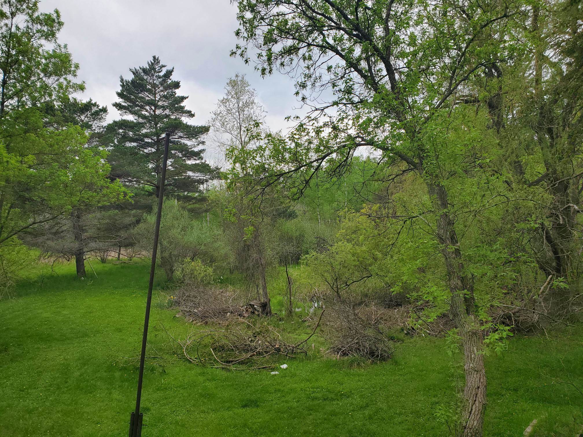 205 Highland Property Photo 3