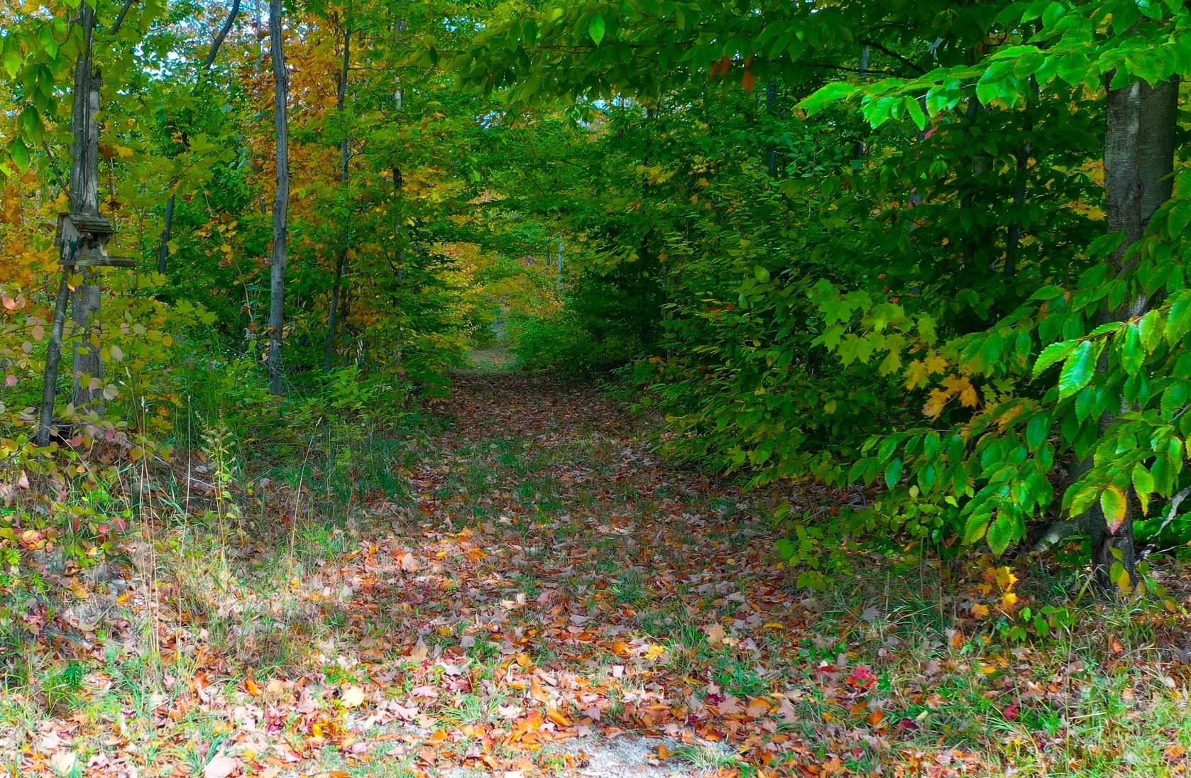 5391 Scholl Road Property Photo 40