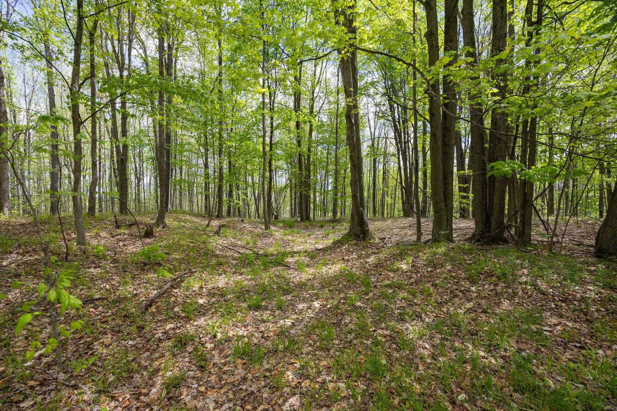 16130 140th Avenue Property Photo 1