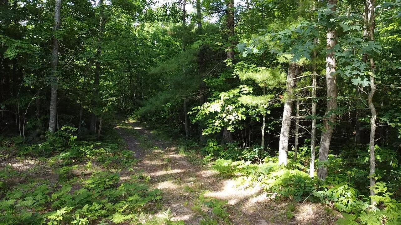 Vl 40 Acres Coates Highway Property Photo 18