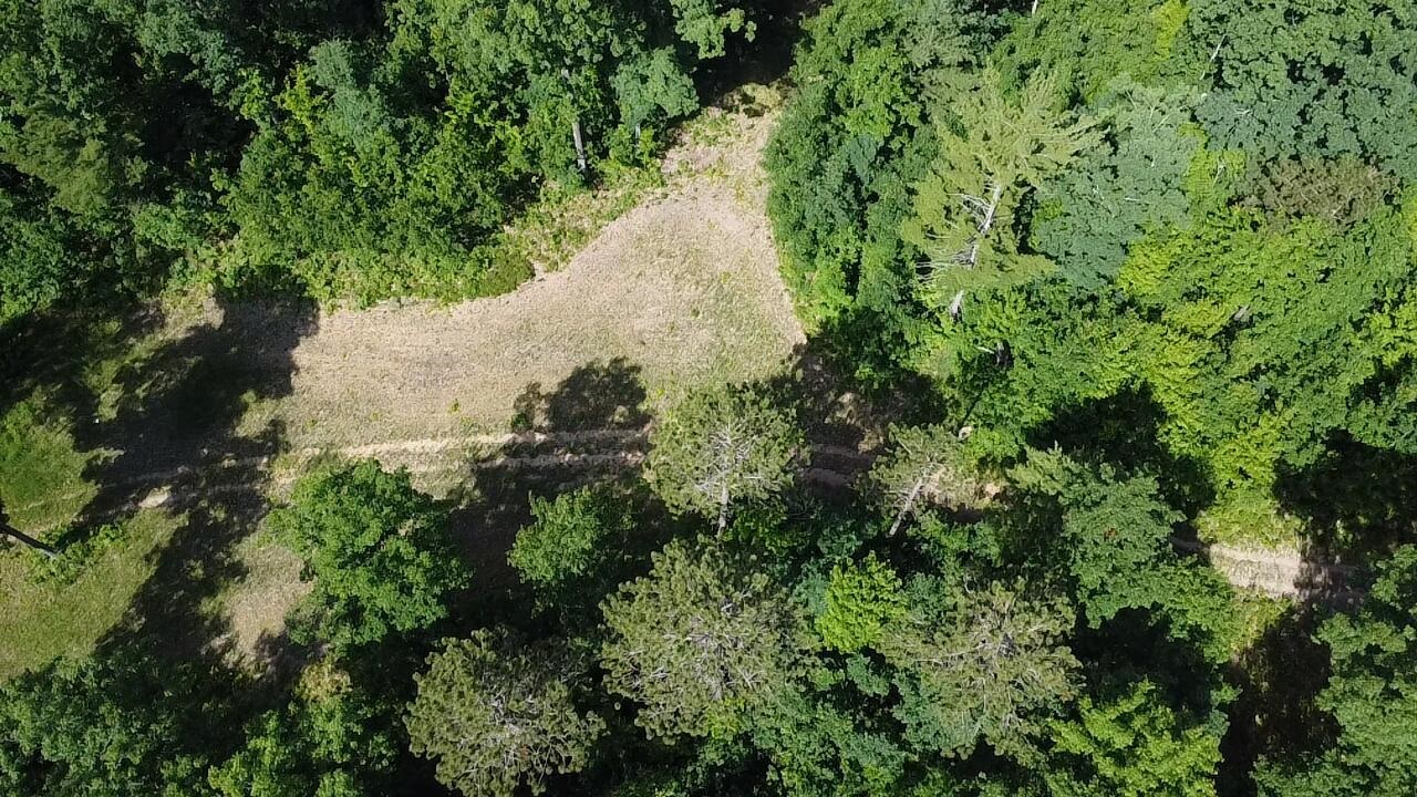 Vl 40 Acres Coates Highway Property Photo 22