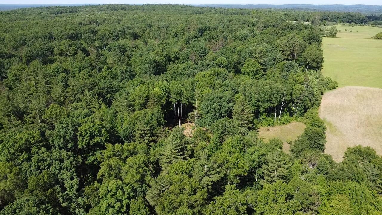 Vl 40 Acres Coates Highway Property Photo 24