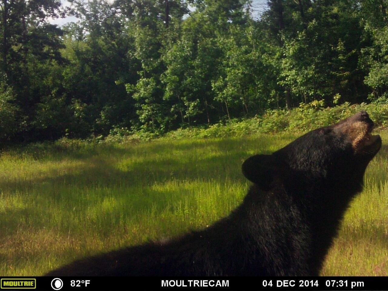 Vl 40 Acres Coates Highway Property Photo 25