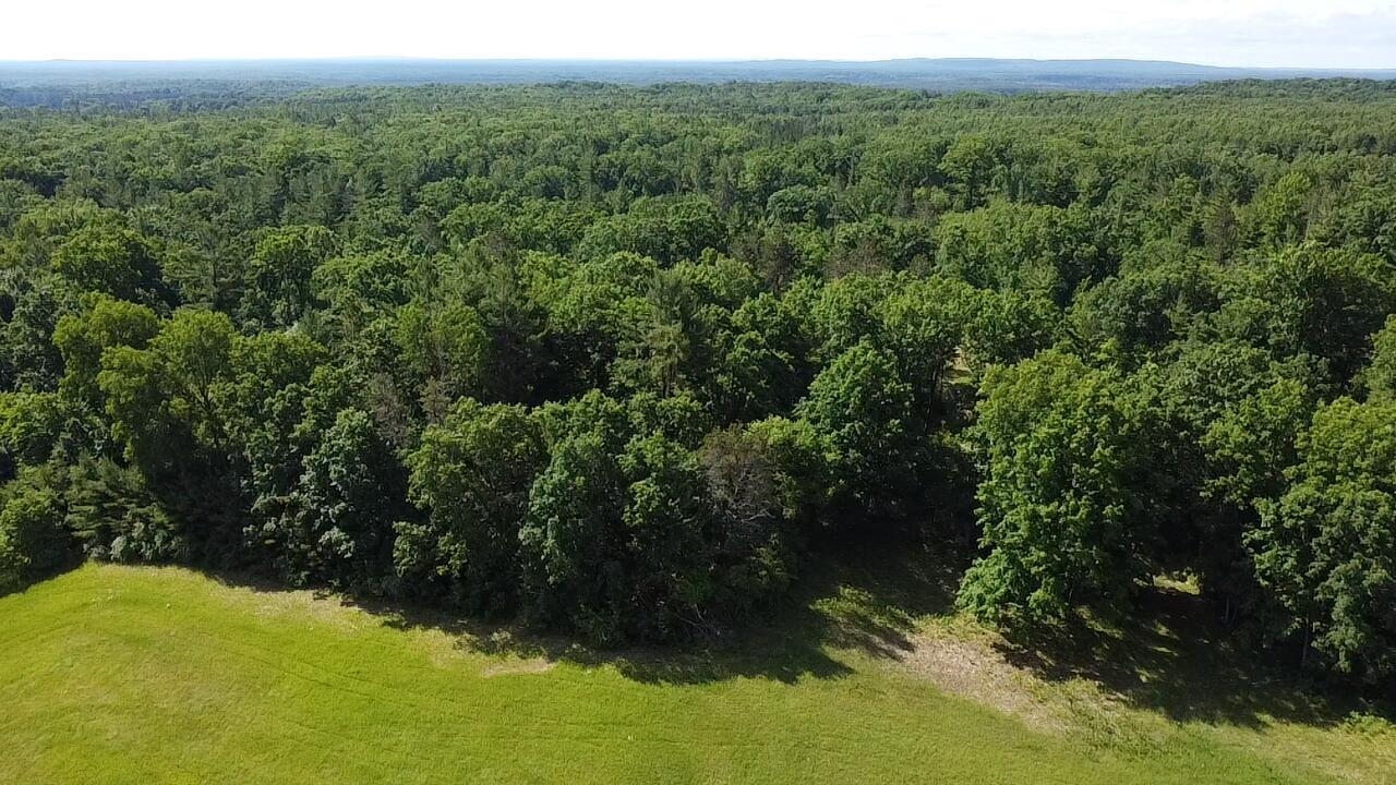 Vl 40 Acres Coates Highway Property Photo 26