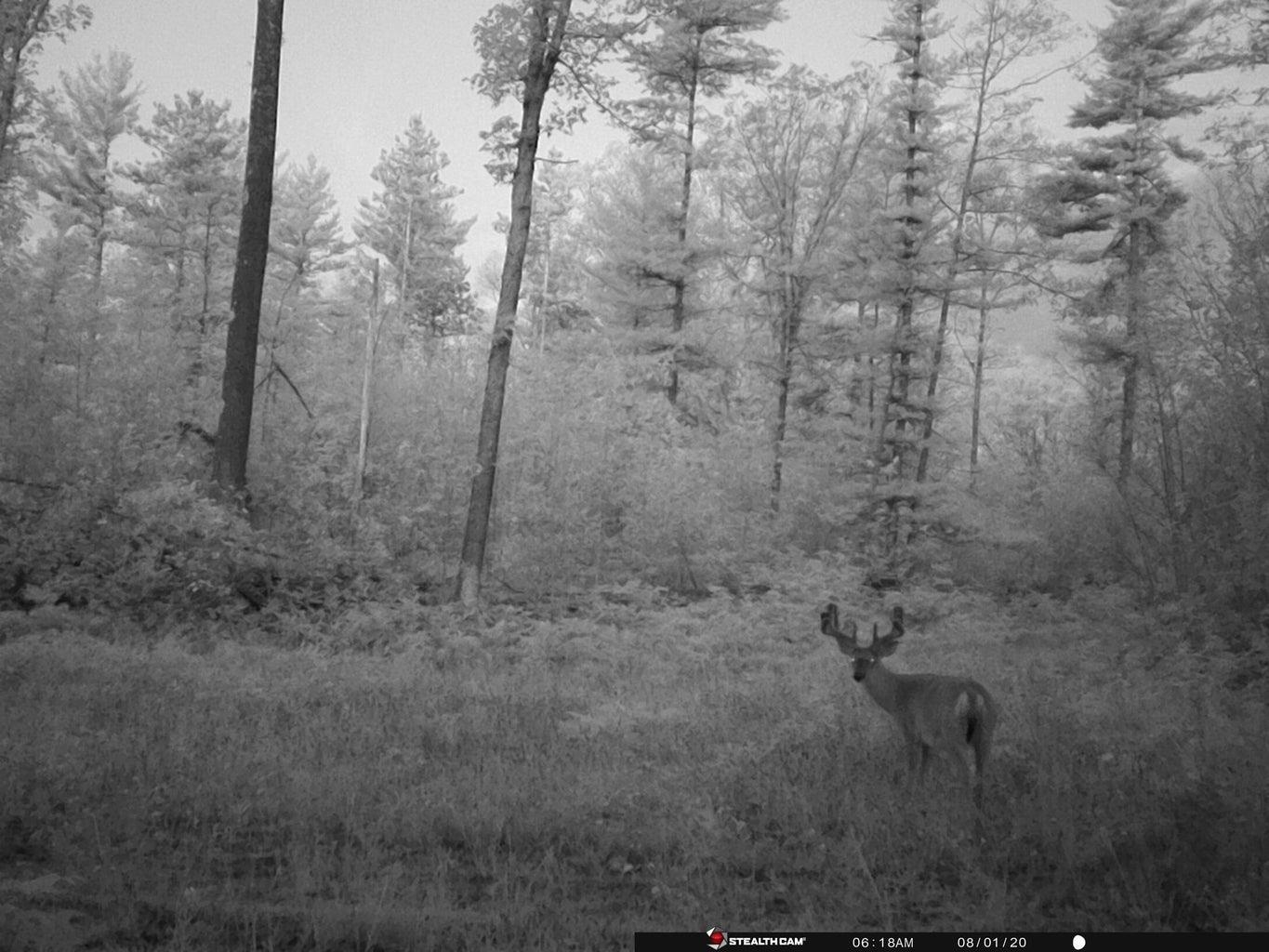 Vl 40 Acres Coates Highway Property Photo 28