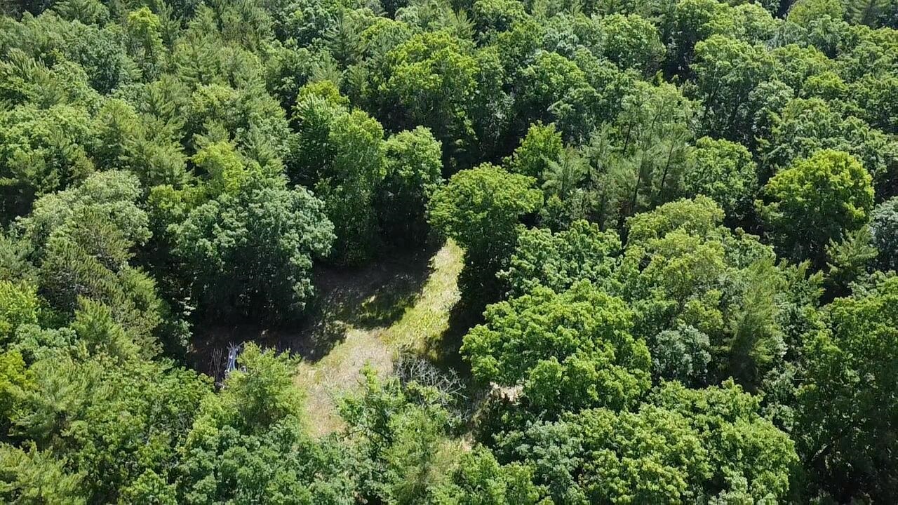 Vl 40 Acres Coates Highway Property Photo 29