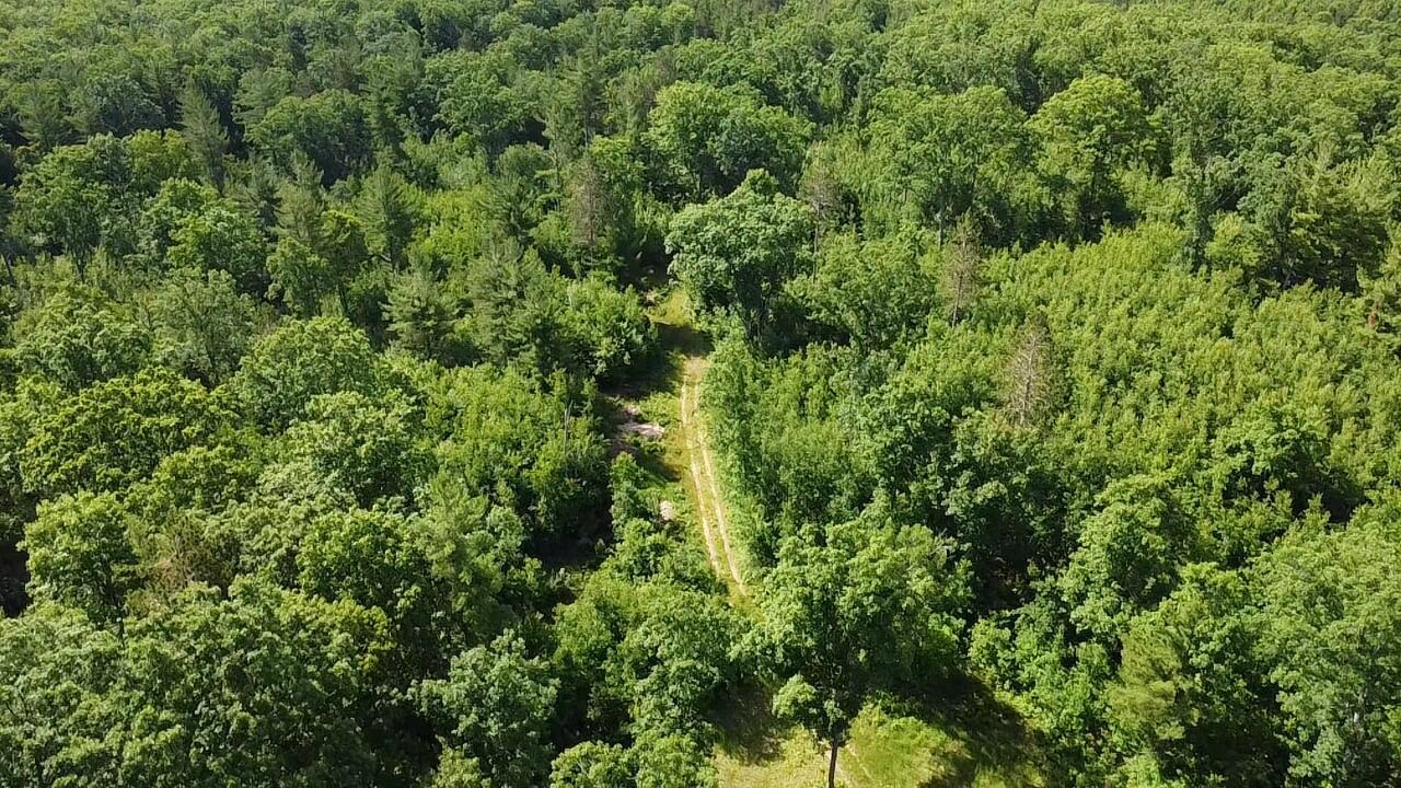 Vl 40 Acres Coates Highway Property Photo 31