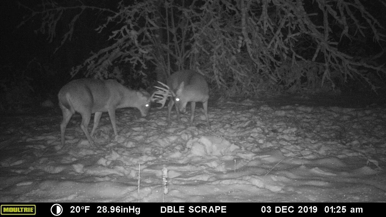 Vl 40 Acres Coates Highway Property Photo 33