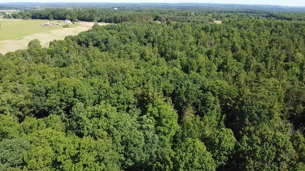 Vl 40 Acres Coates Highway Property Photo 34