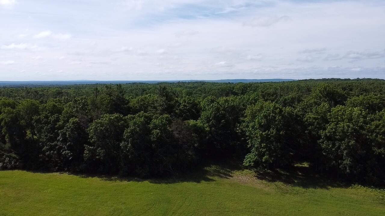 Vl 40 Acres Coates Highway Property Photo 37