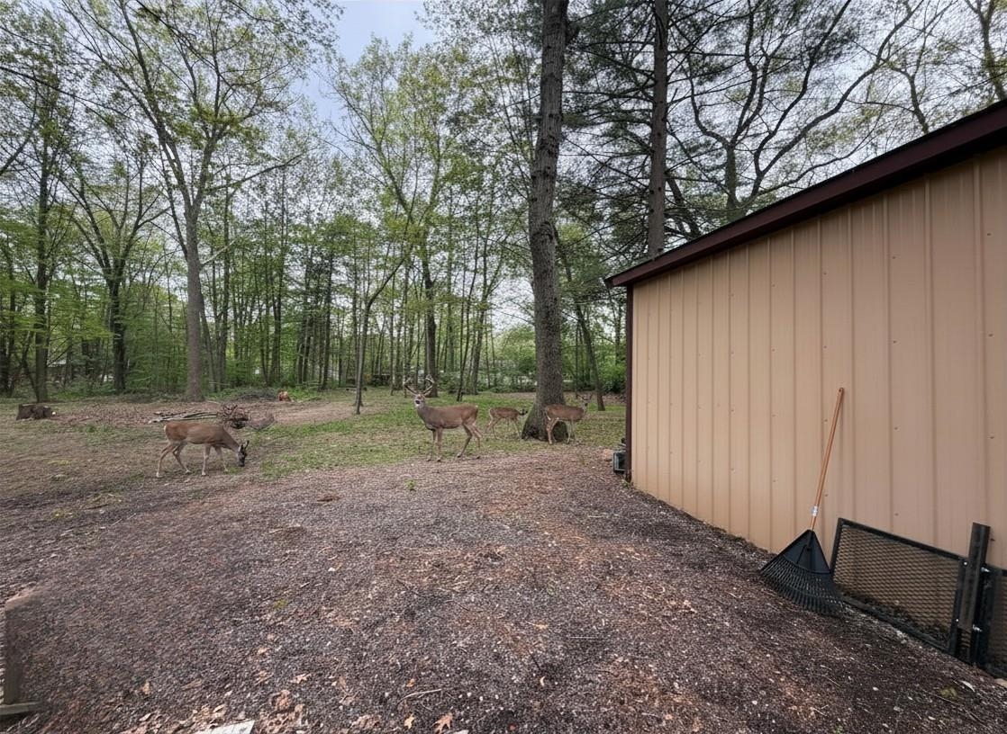 2245 Edgewood Property Photo 17
