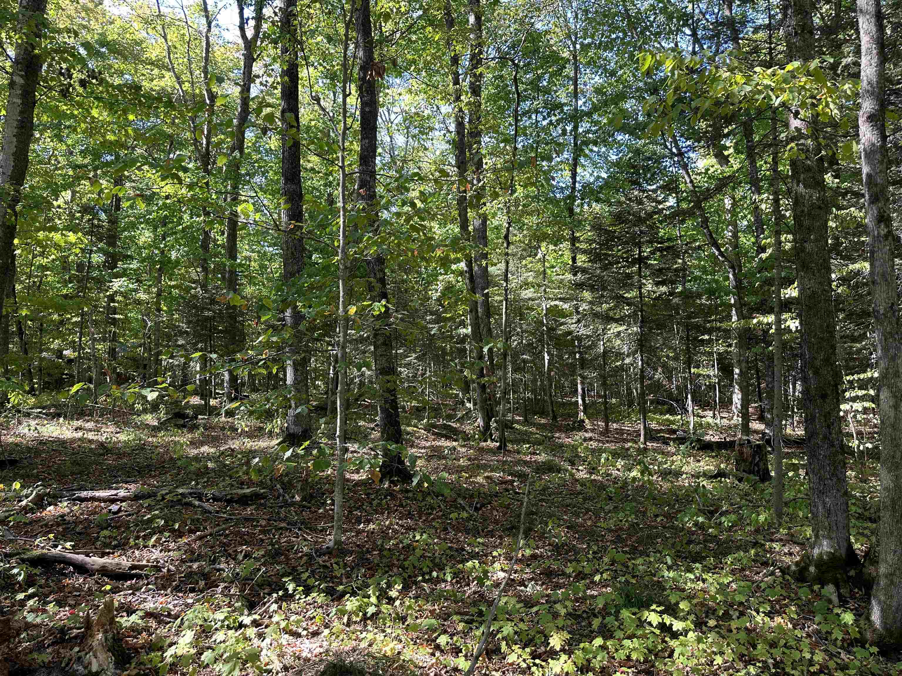 Tbd Kings Highway Property Photo 13