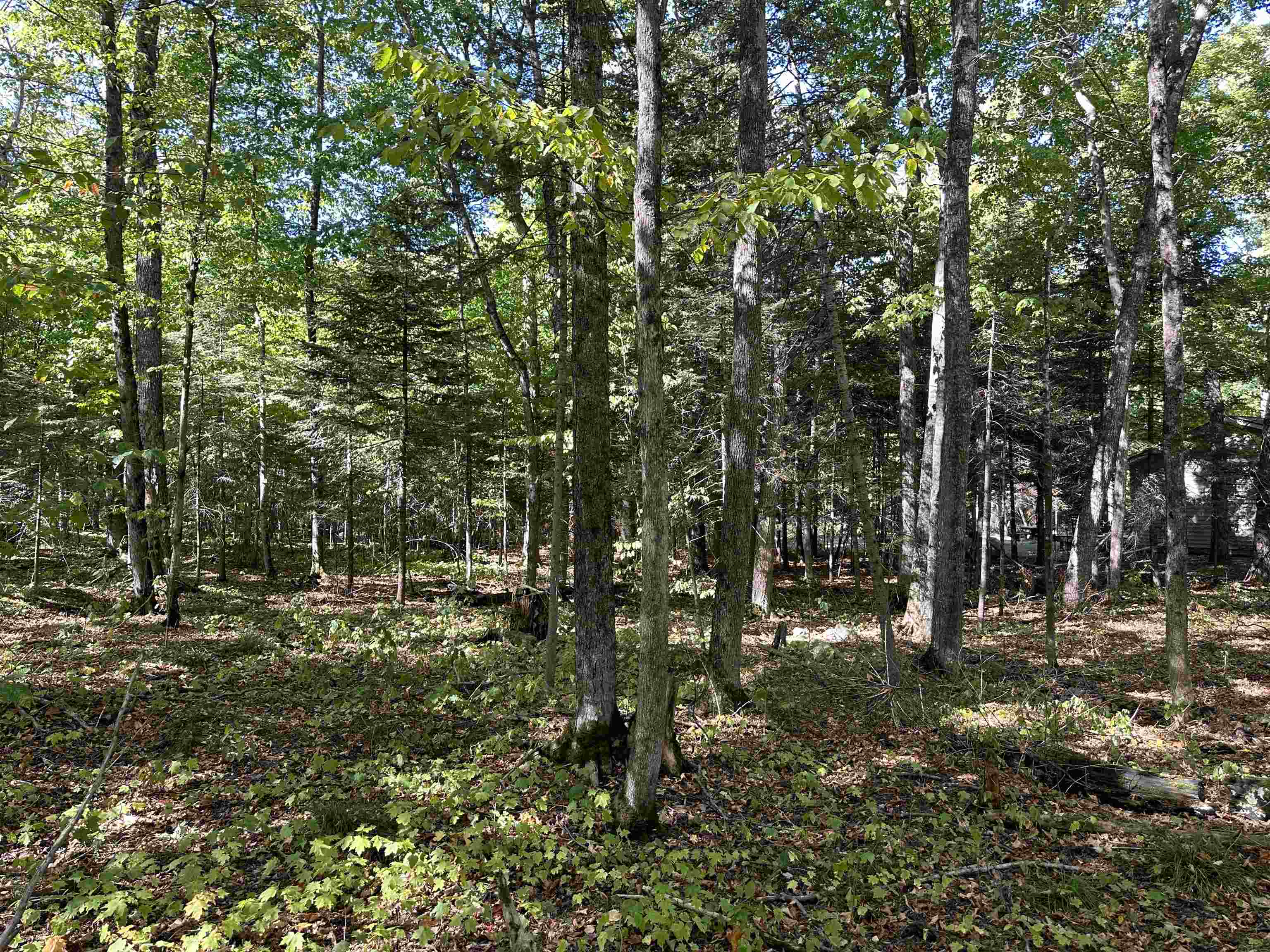 Tbd Kings Highway Property Photo 14
