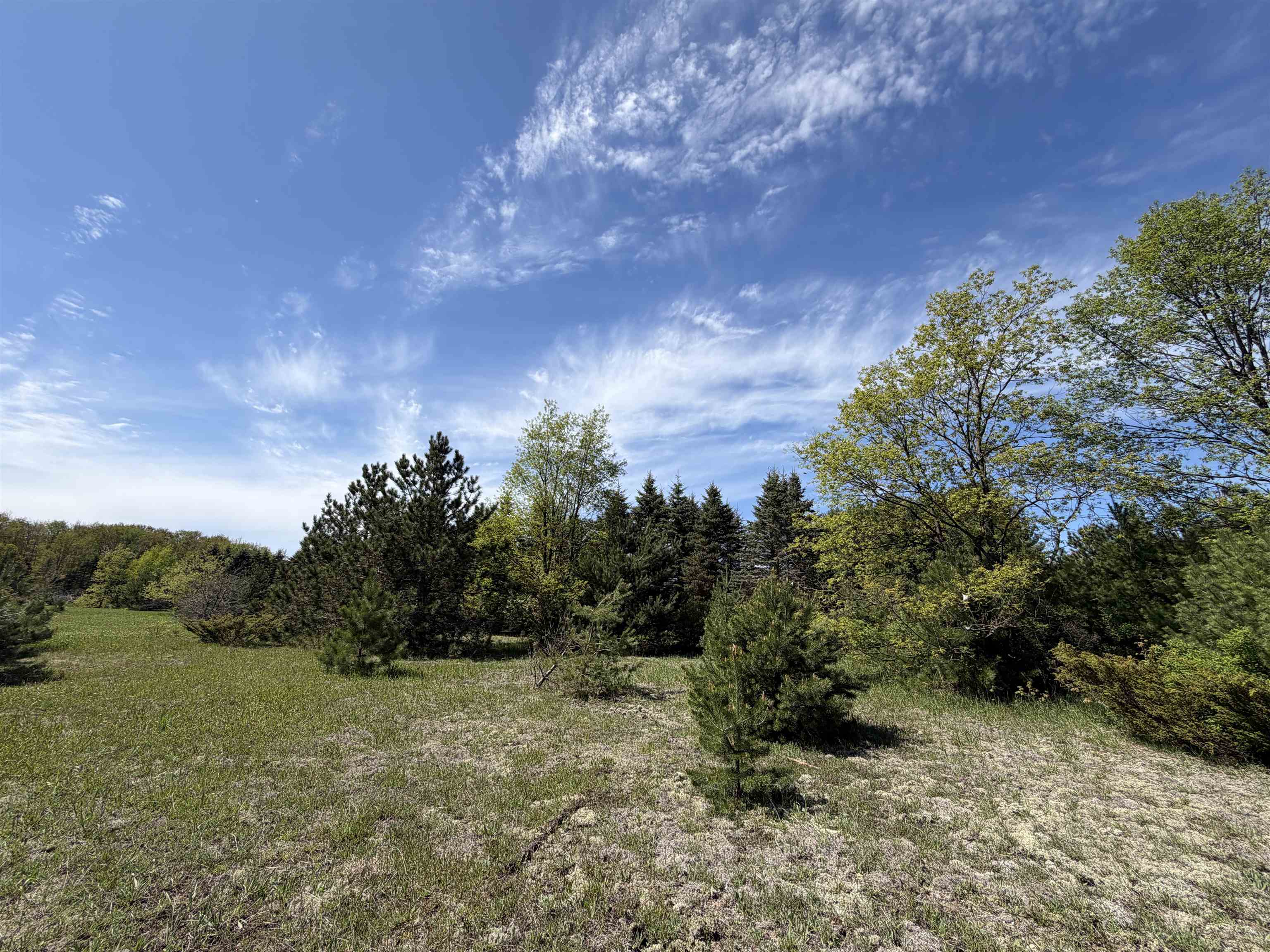13158 Cinder Road Property Photo 6