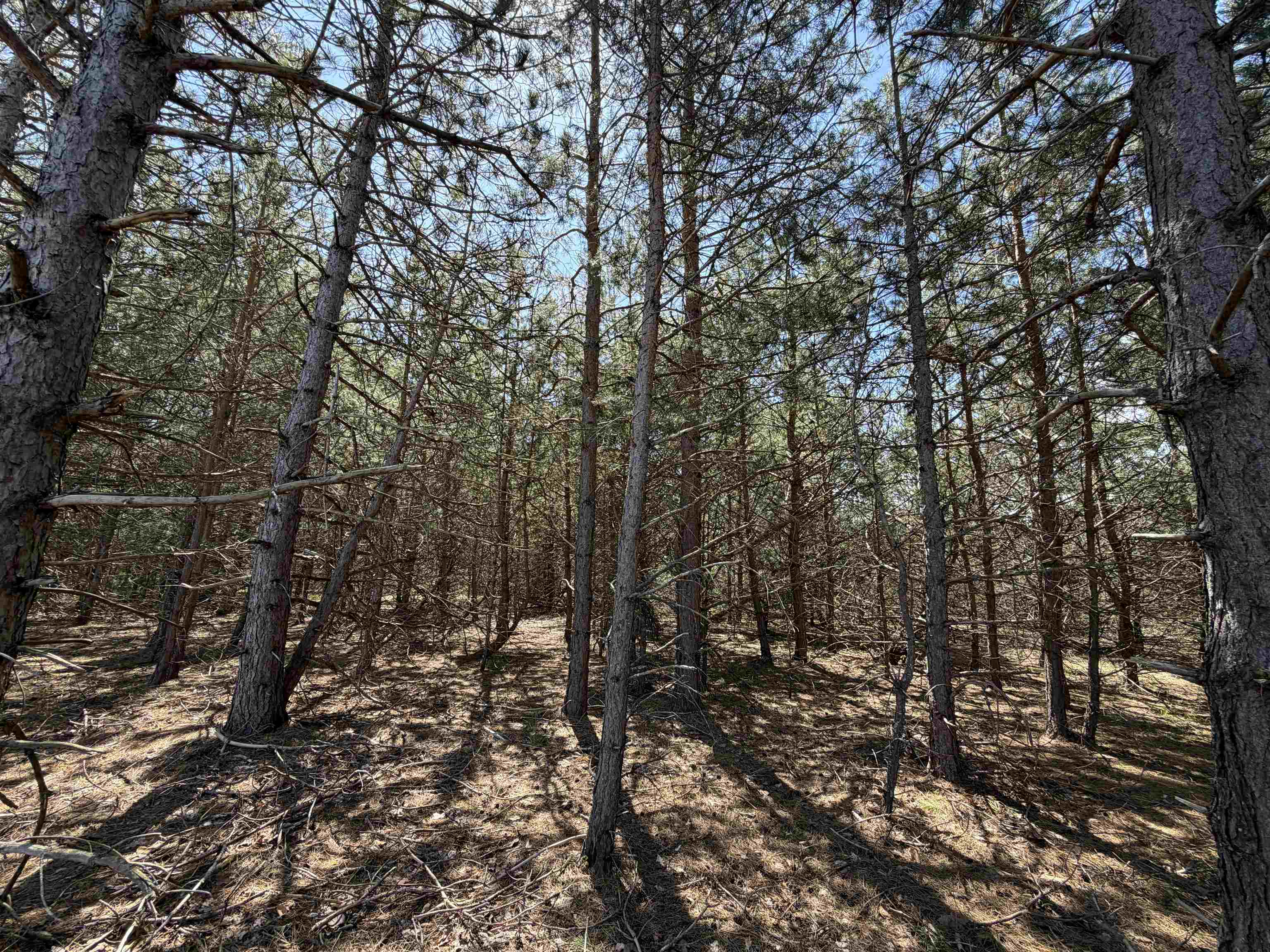 13158 Cinder Road Property Photo 7