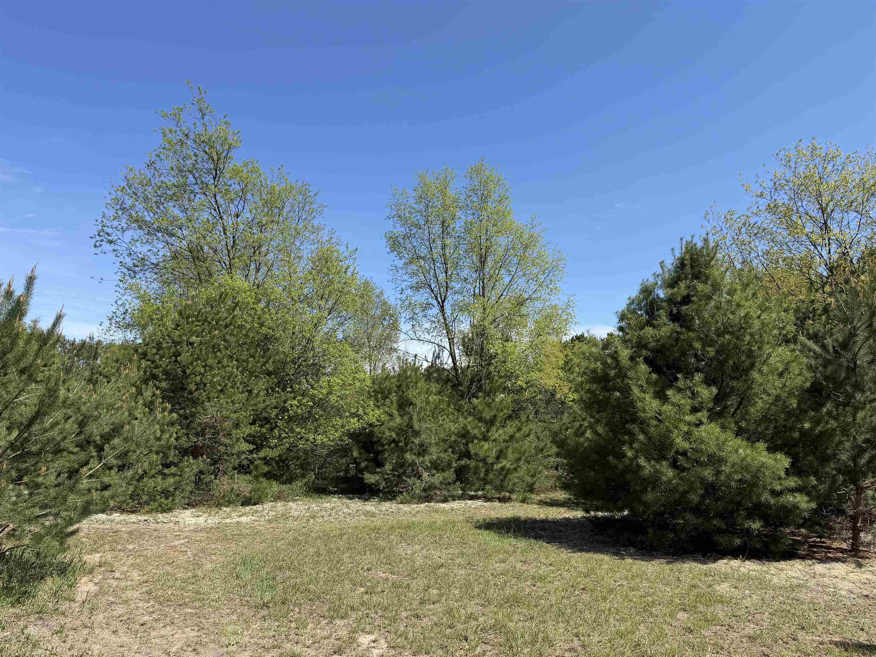 13158 Cinder Road Property Photo 10