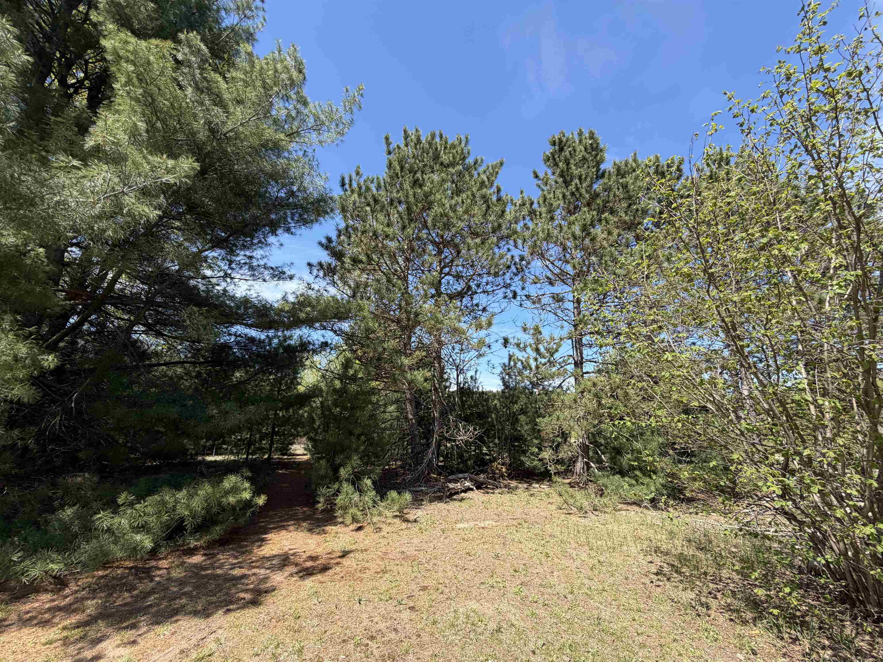 13158 Cinder Road Property Photo 34
