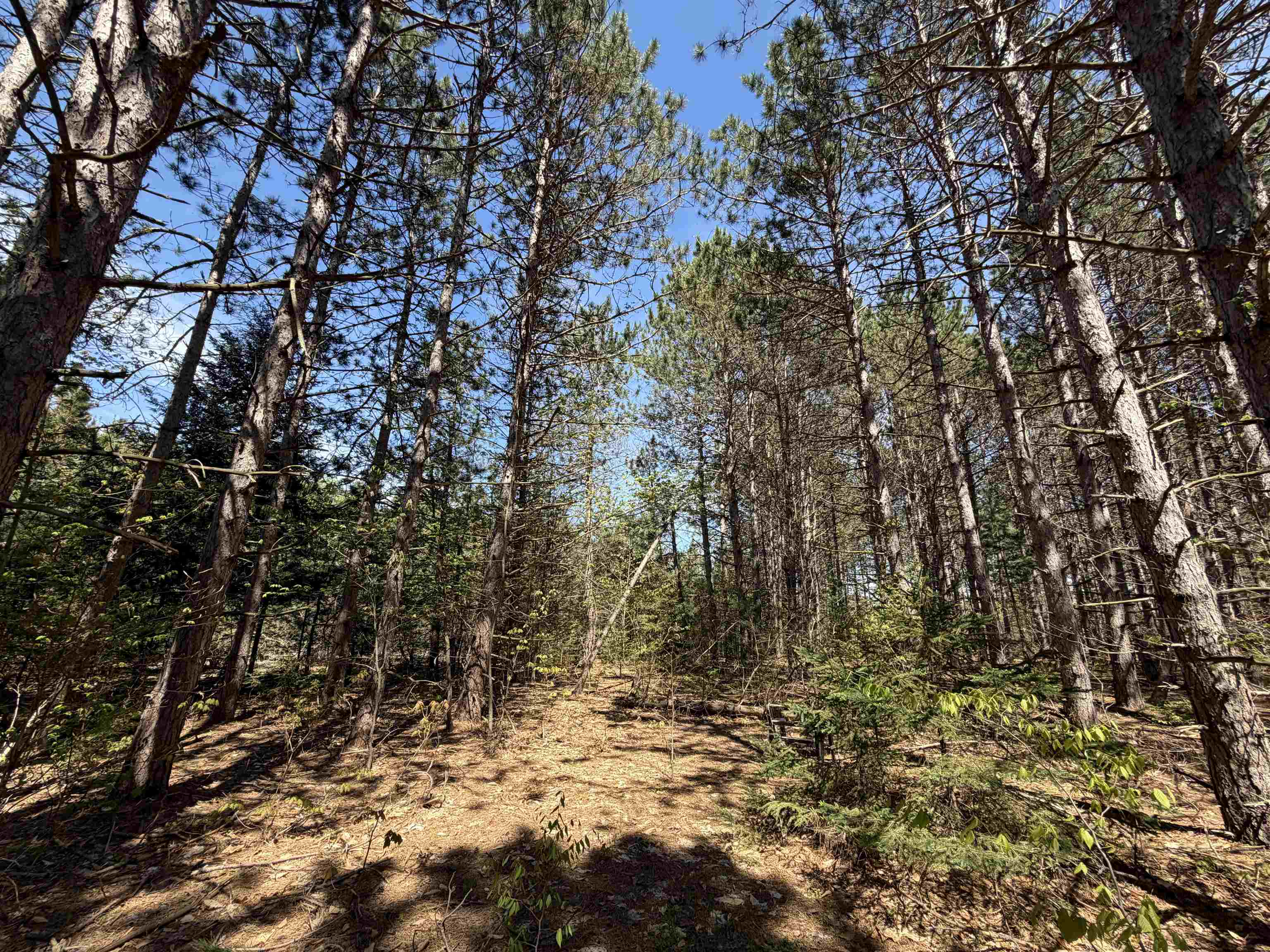 13158 Cinder Road Property Photo 35
