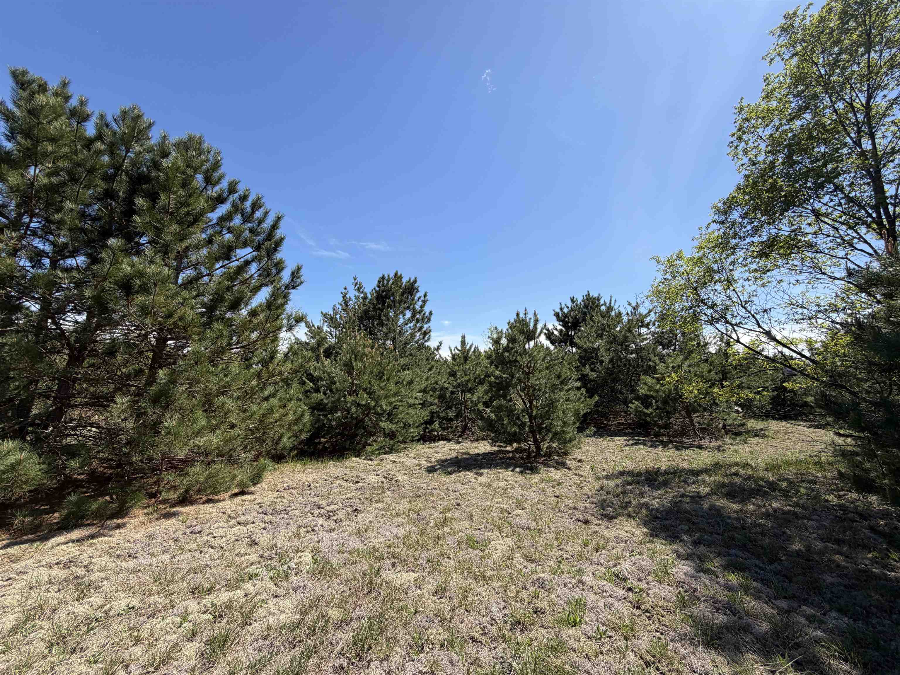 13158 Cinder Road Property Photo 37