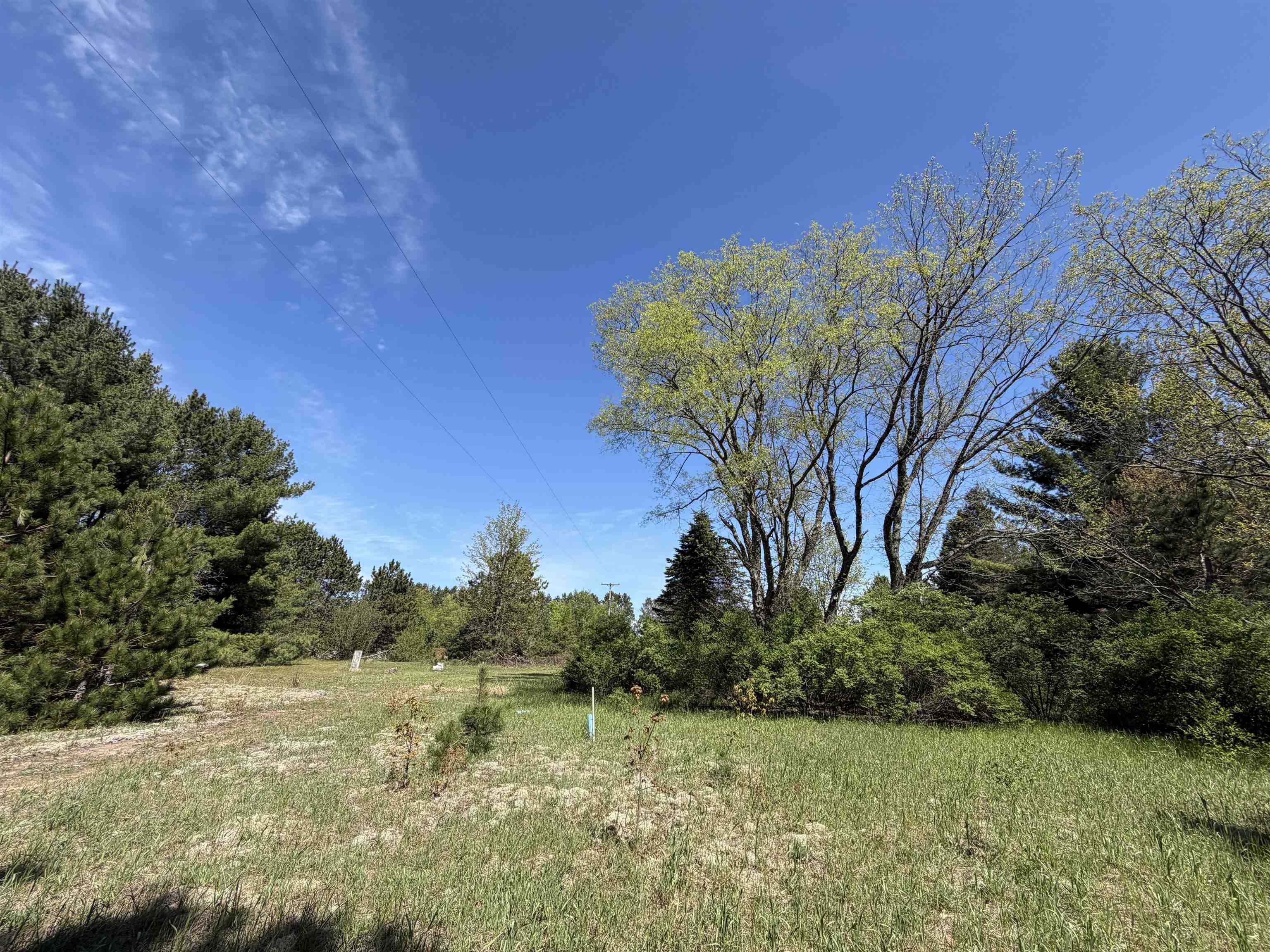 13158 Cinder Road Property Photo 38