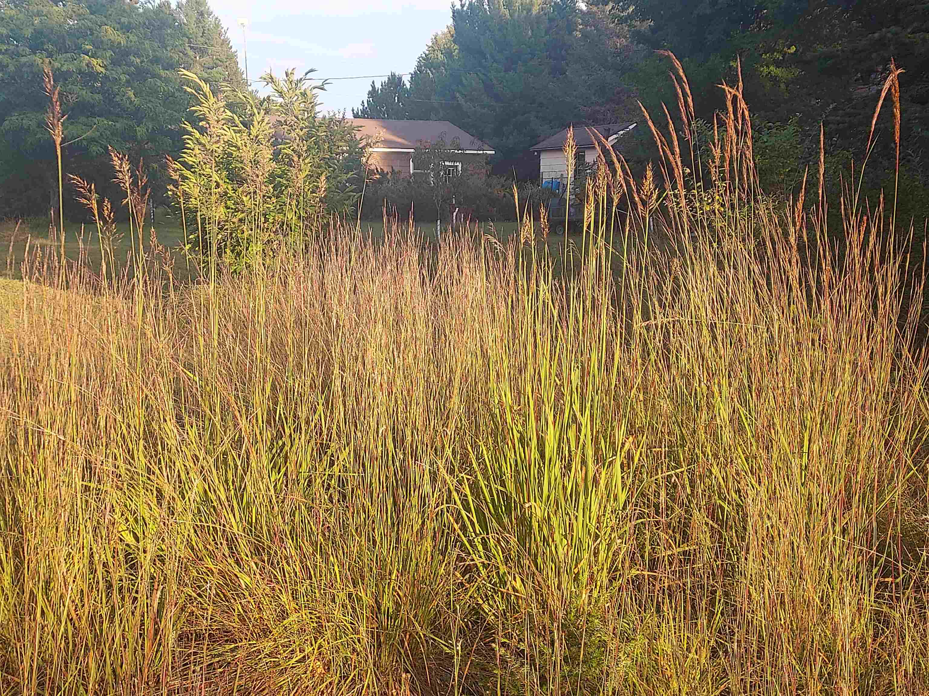 13158 Cinder Road Property Photo 42