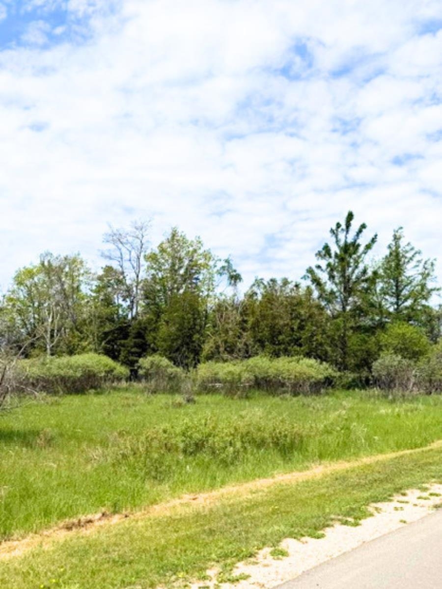 Vl W Fairway Property Photo 2