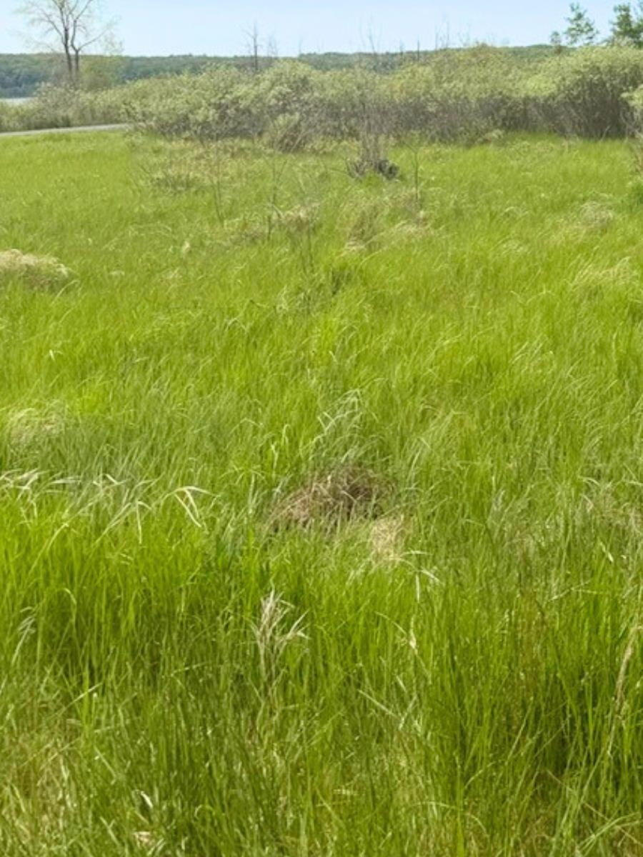 Vl W Fairway Property Photo 4