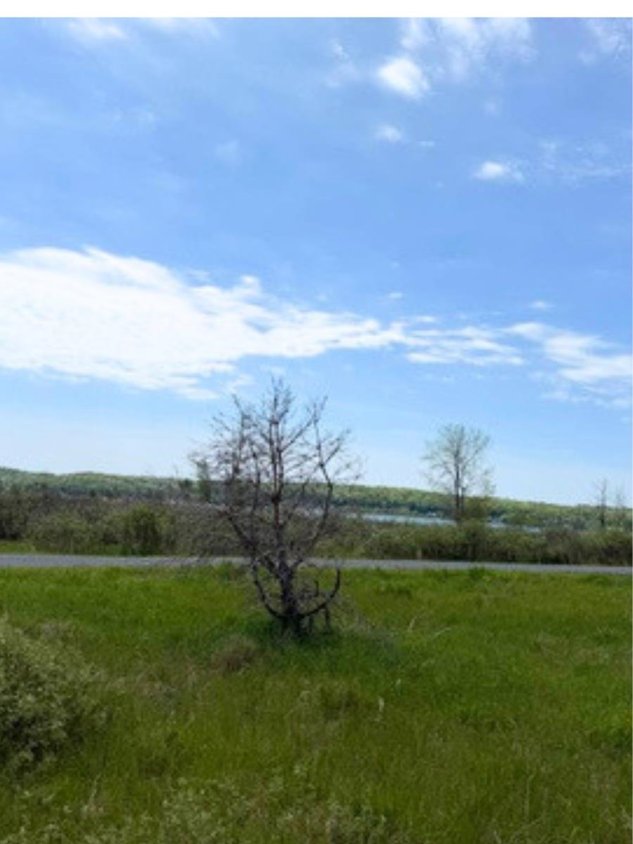 Vl W Fairway Property Photo 5