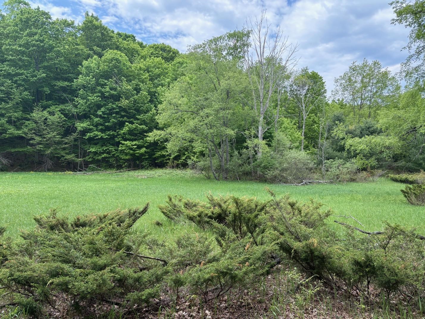 13631 S Beaver Pond Road Property Photo 1