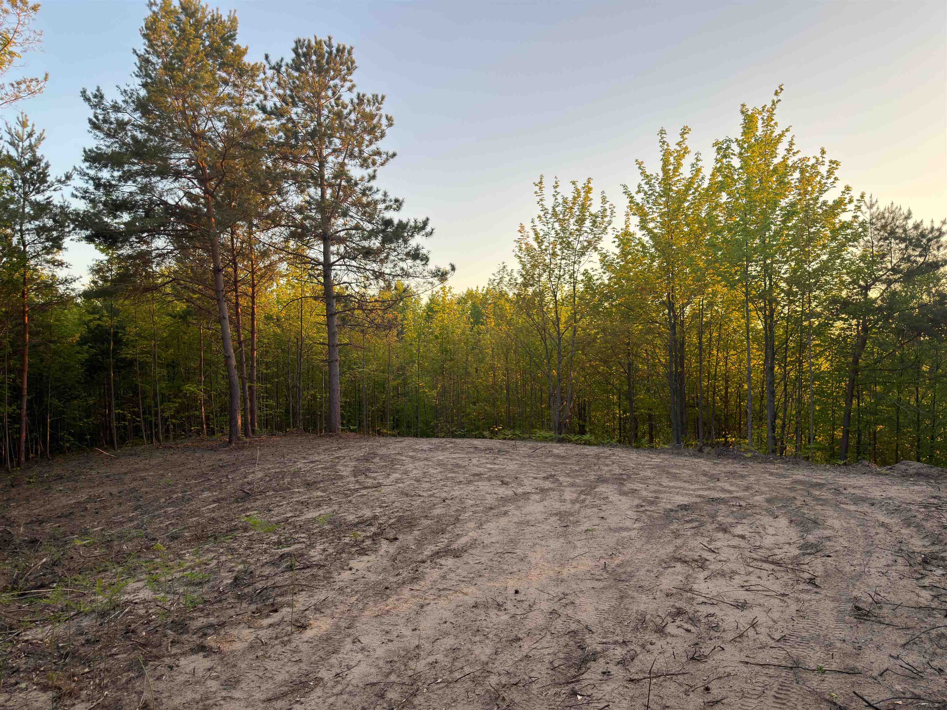 3779 Scholl Road Property Photo 1
