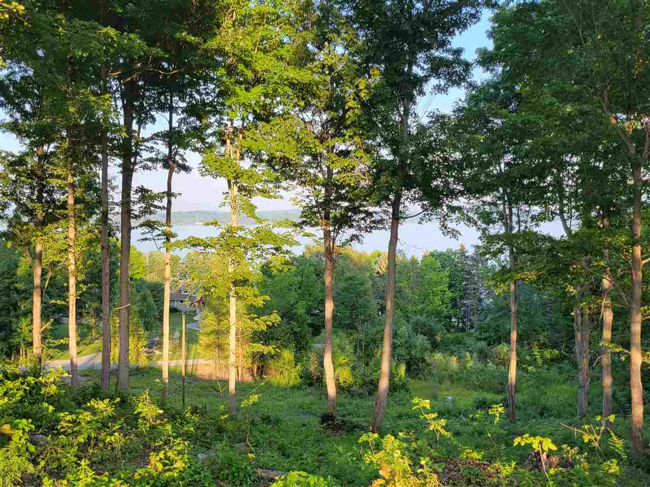 Lot 6 Torch Hills Lane Property Photo 2