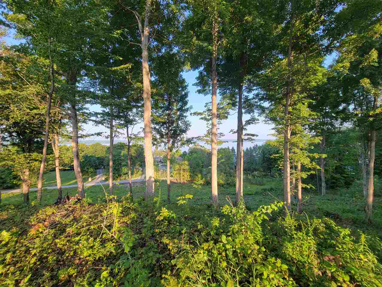 Lot 6 Torch Hills Lane Property Photo 9