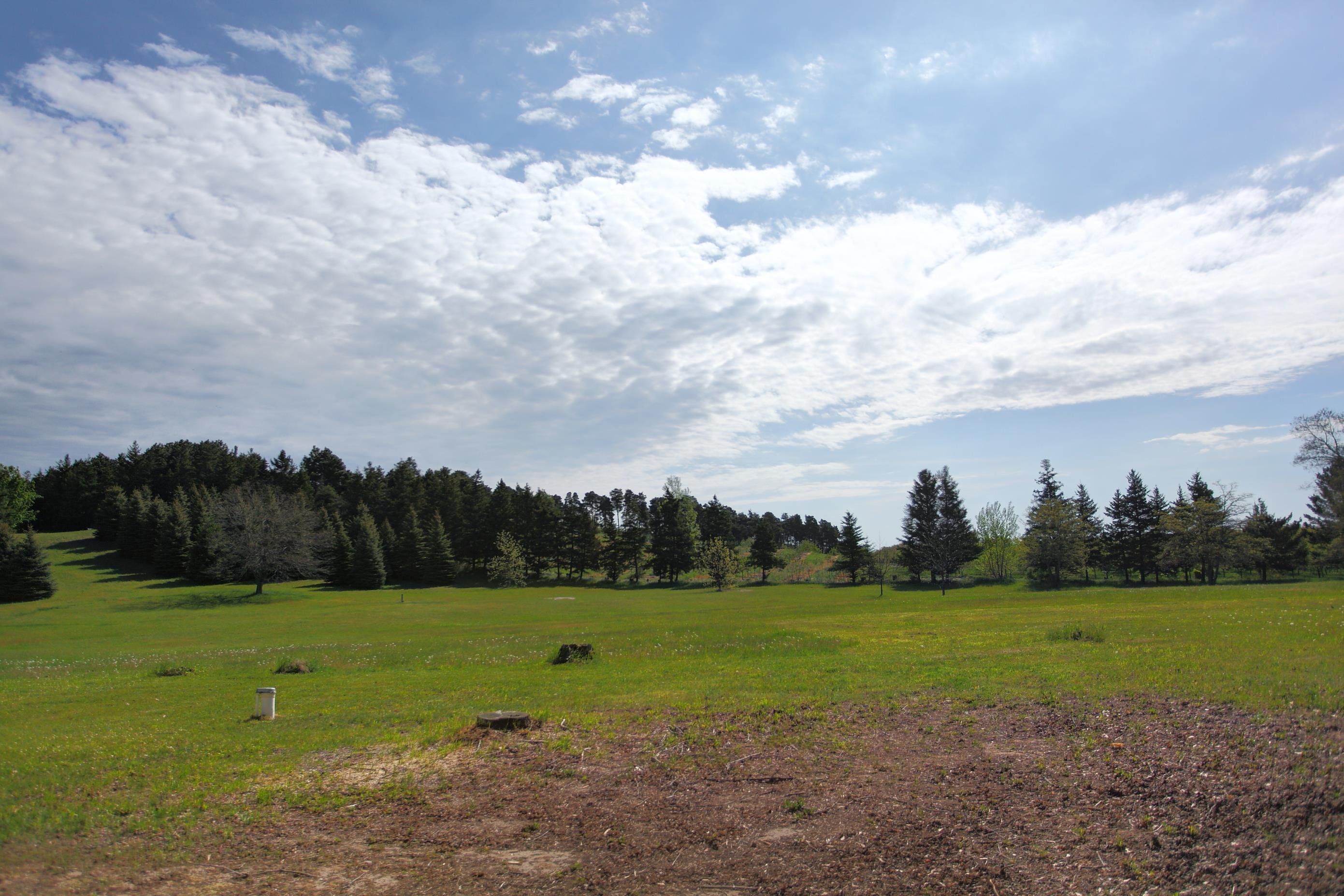 12325 Lincoln Hollow Court Property Photo 17